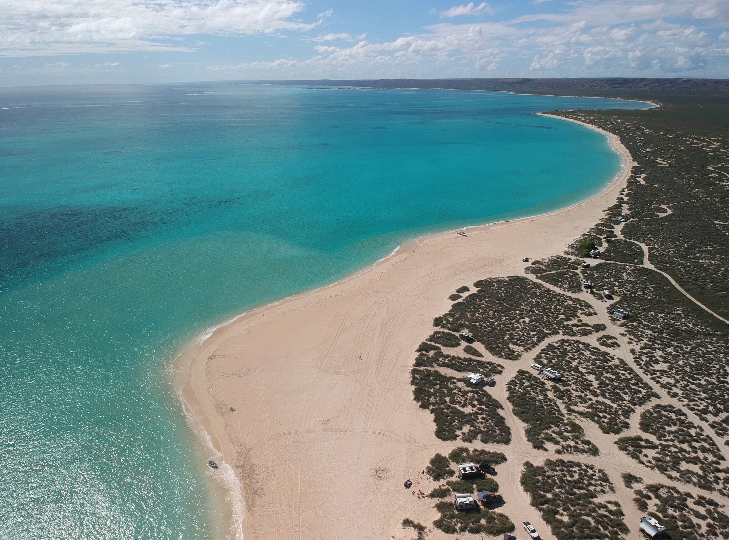 Toxic algae bloom killed millions of marine animals along Australia’s coast