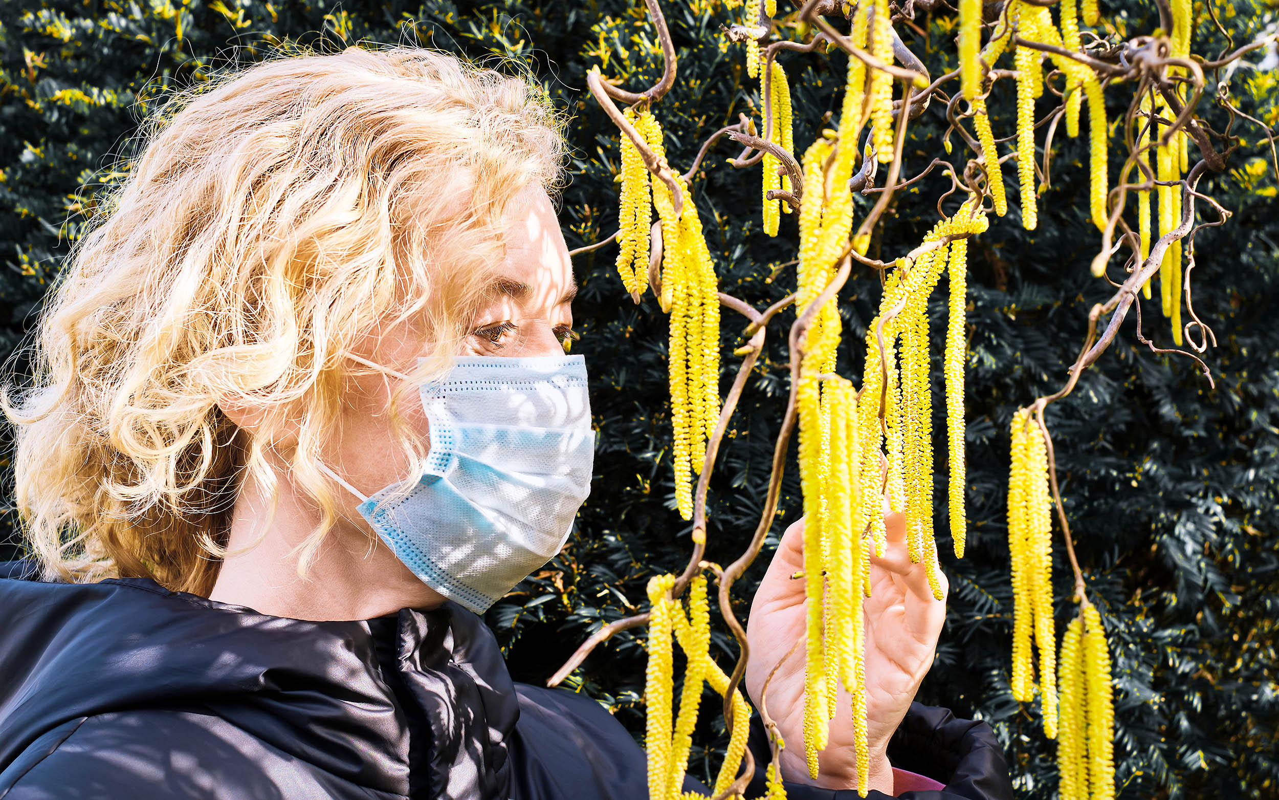 Pollen allergy season is getting longer every year due to city lights