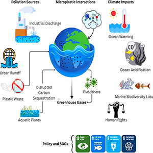 Microplastics Impair Ocean Carbon Absorption When Pollution Meets Photosynthesis