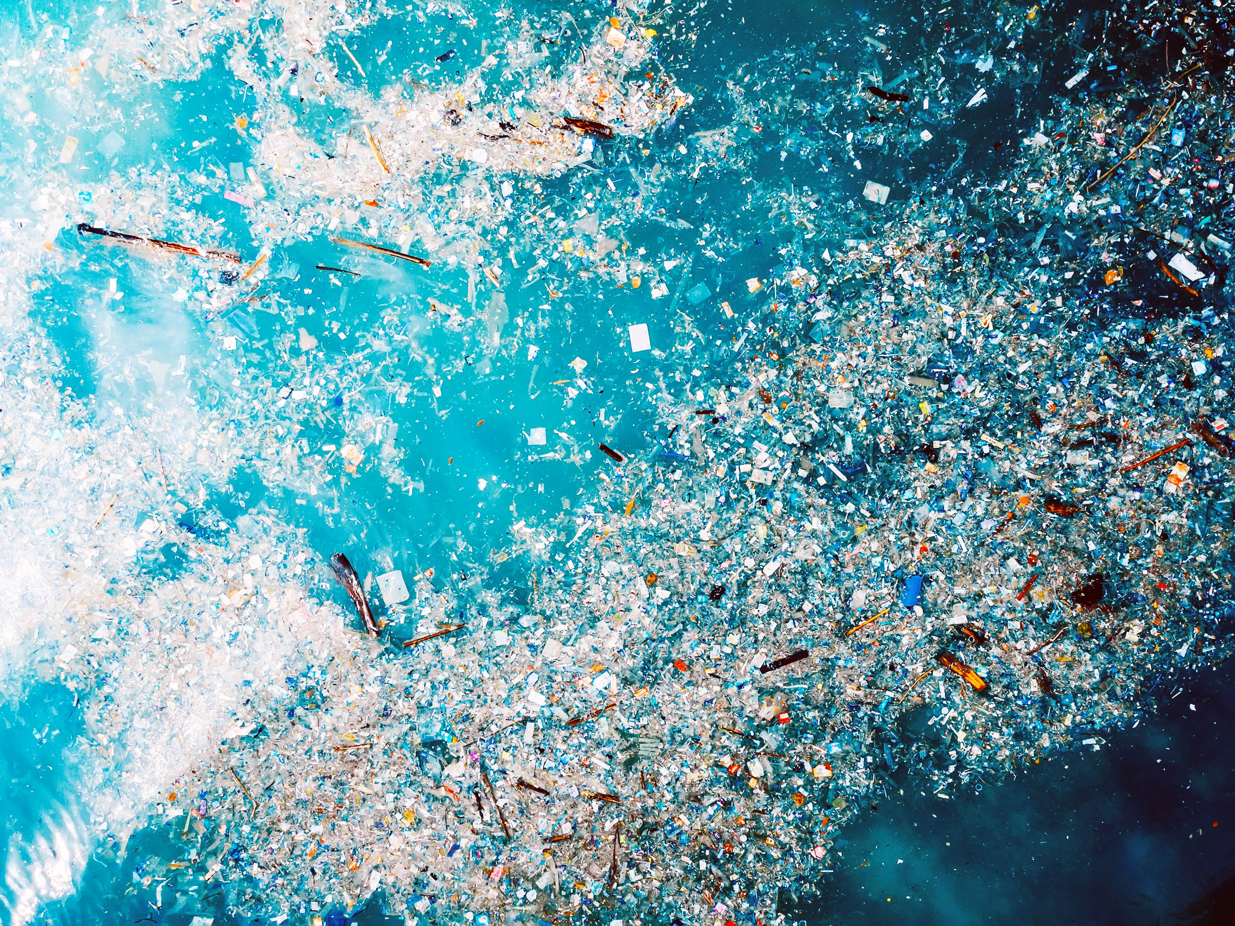 Microplastics dramatically weaken the ocean’s ability to absorb carbon