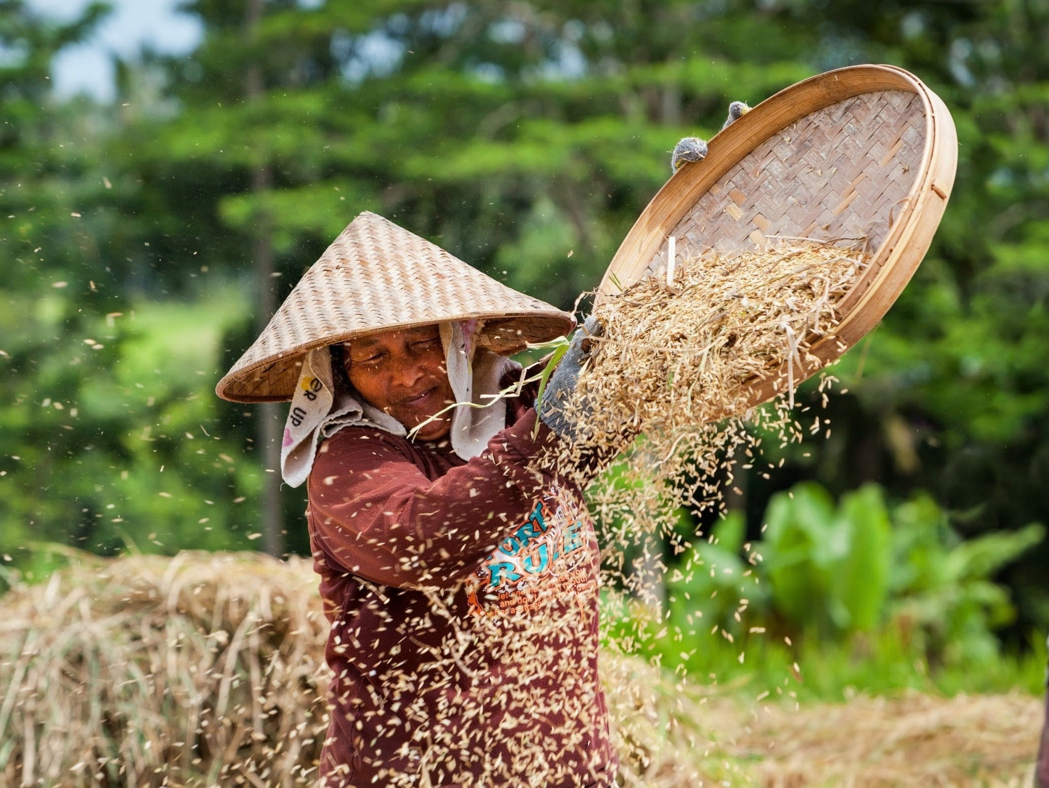 Rising food prices can alter children’s growth for life