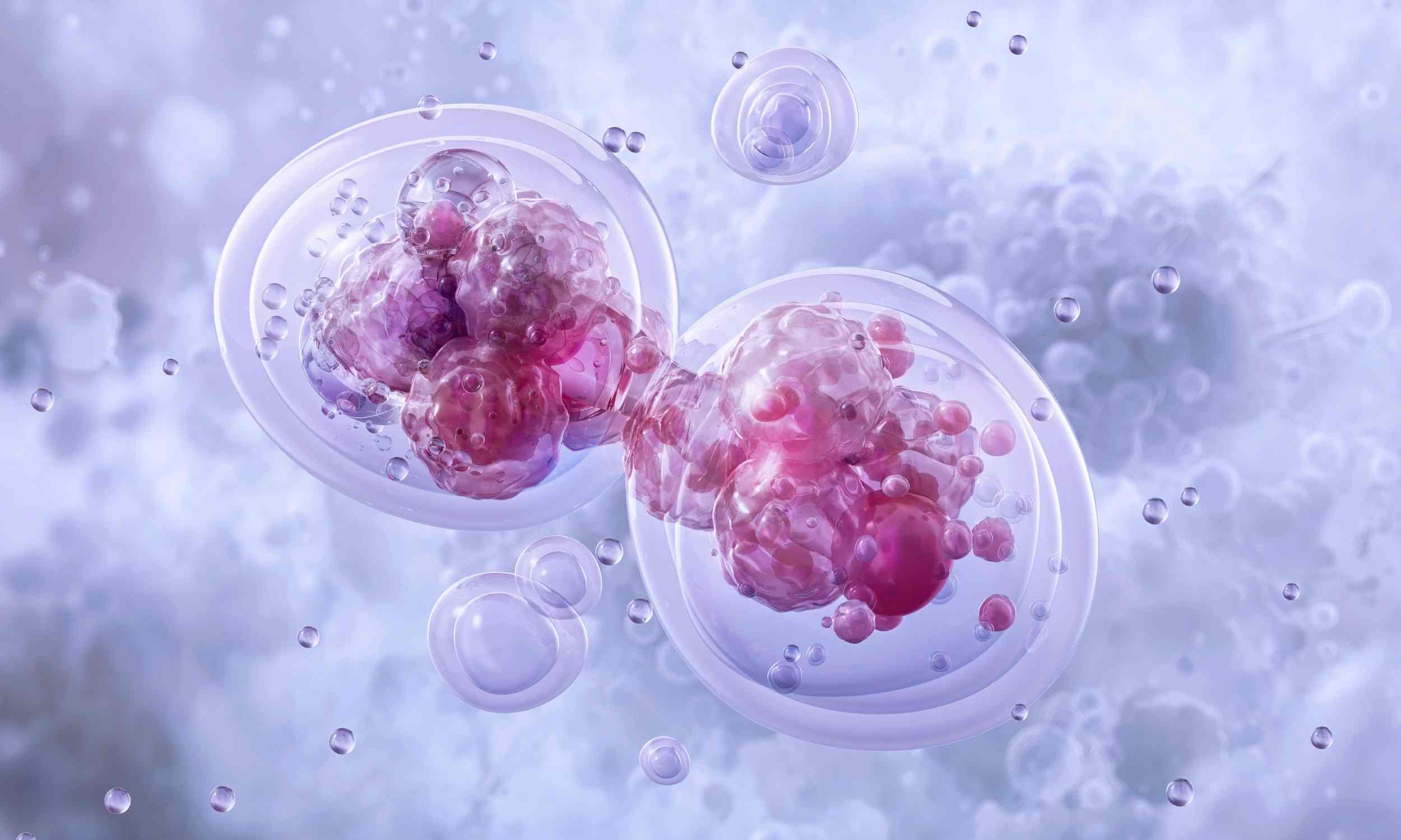 Scientists warn of a new biological risk and call for an international summit