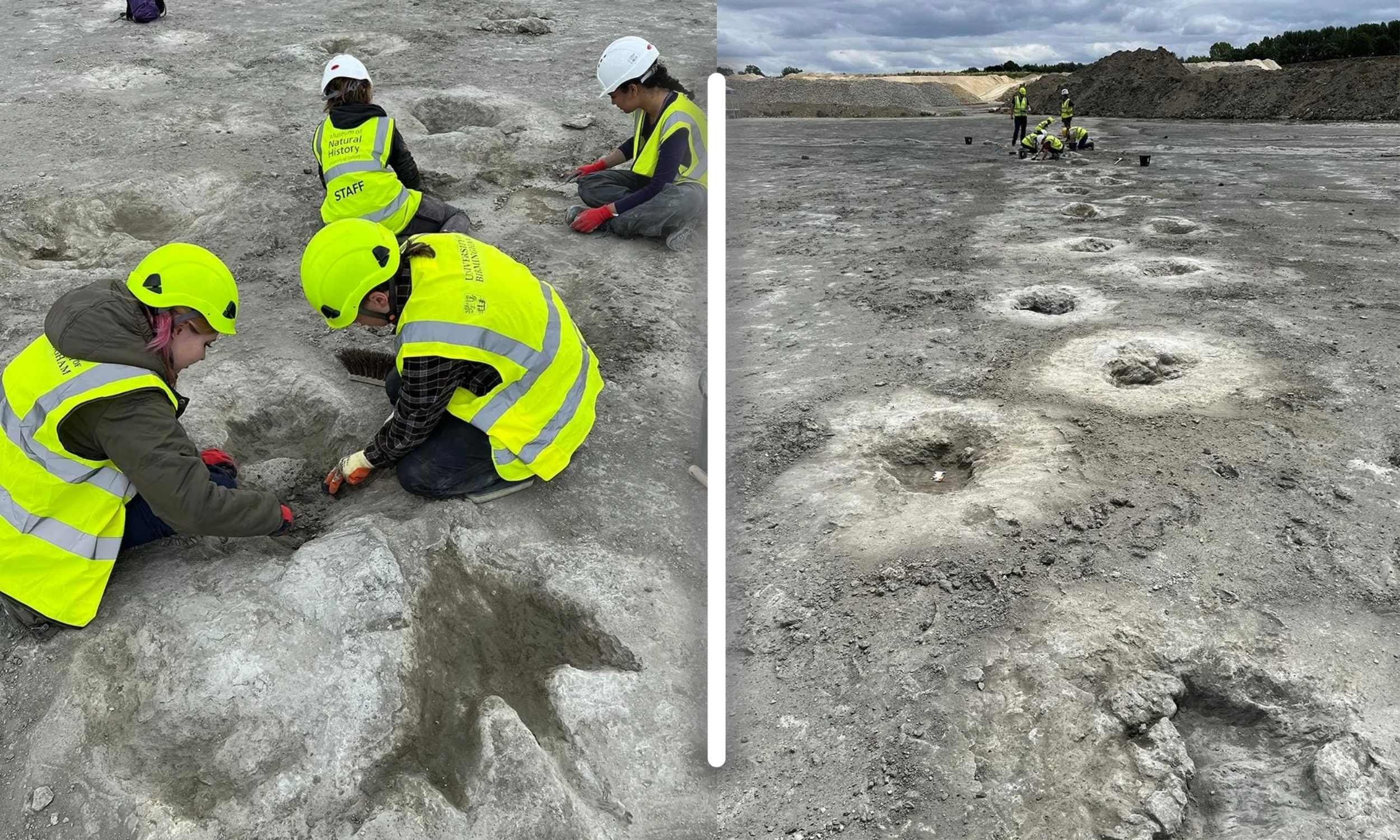 Quarry worker accidentally discovers the largest dinosaur footprint site in the UK