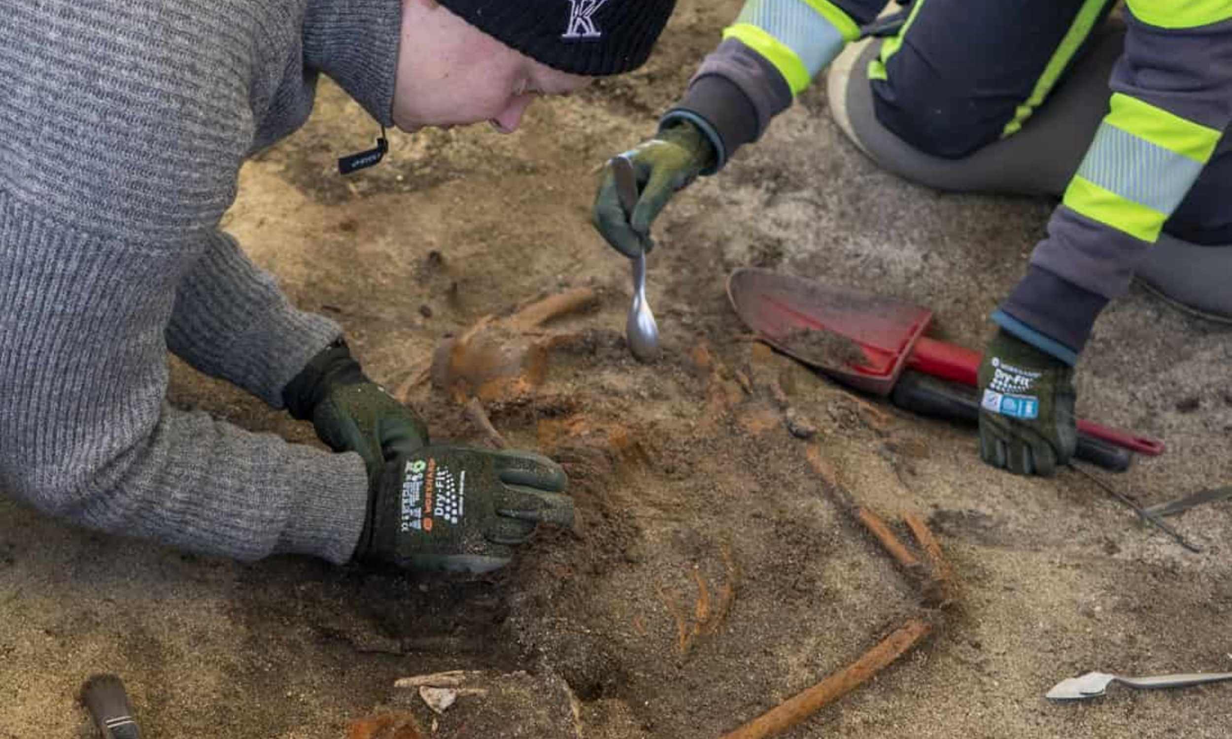 Viking grave contains woman buried with seashells sealing her mouth