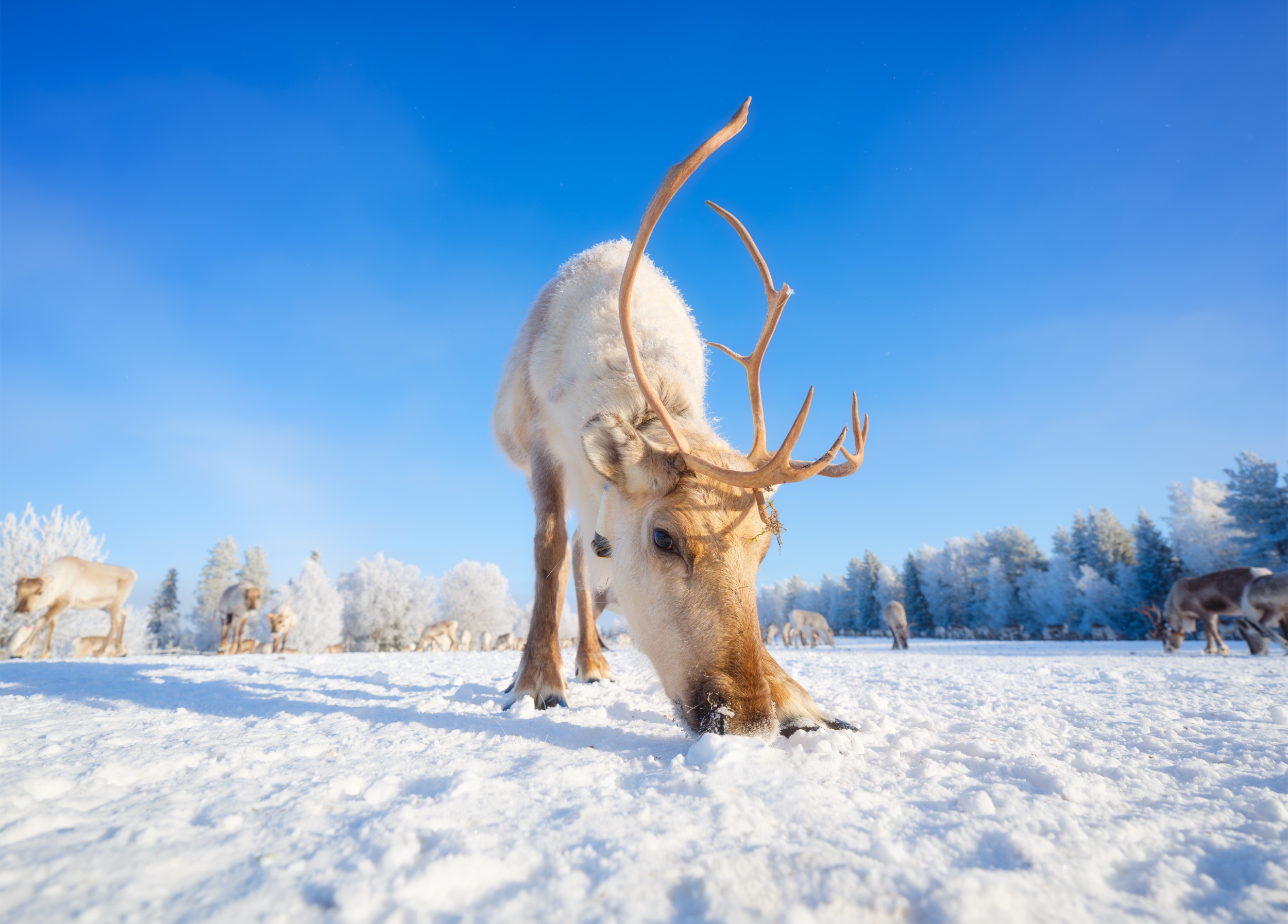 Arctic weather has entered a new era of extremes