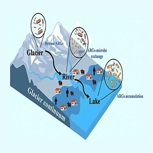 Glaciers as reservoirs of antibiotic resistance genes: hidden risks to human and ecosystem health in a warming world. Credit: Huiling Ying, Yadi Zhang, Wei Hu, Wentao Wu & Guannan Mao