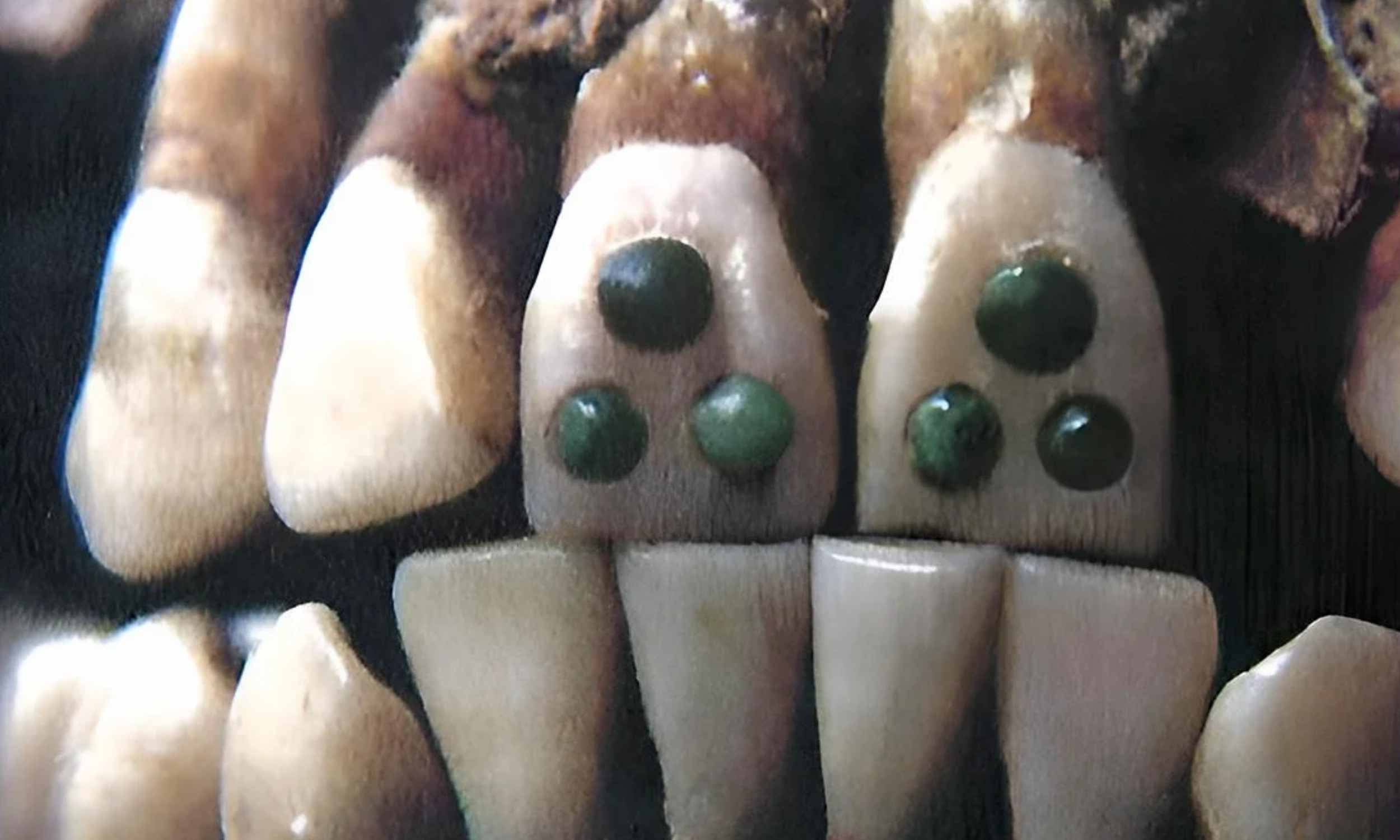 Three jade-inlaid teeth upend current theories about Maya childhood
