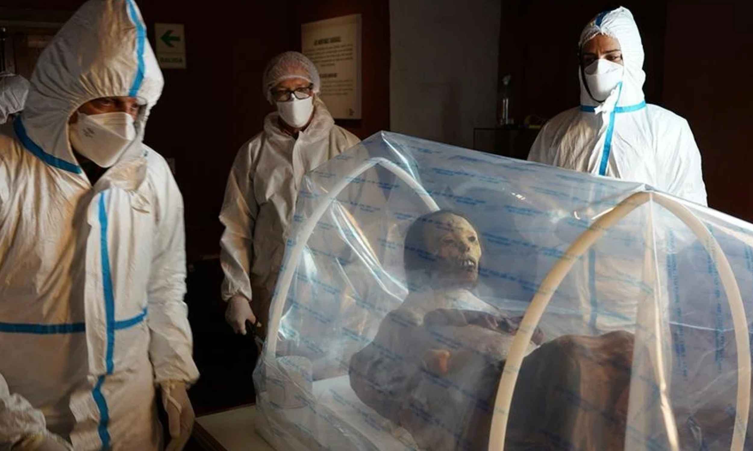 New invention protects mummies and bones from bacteria and mold