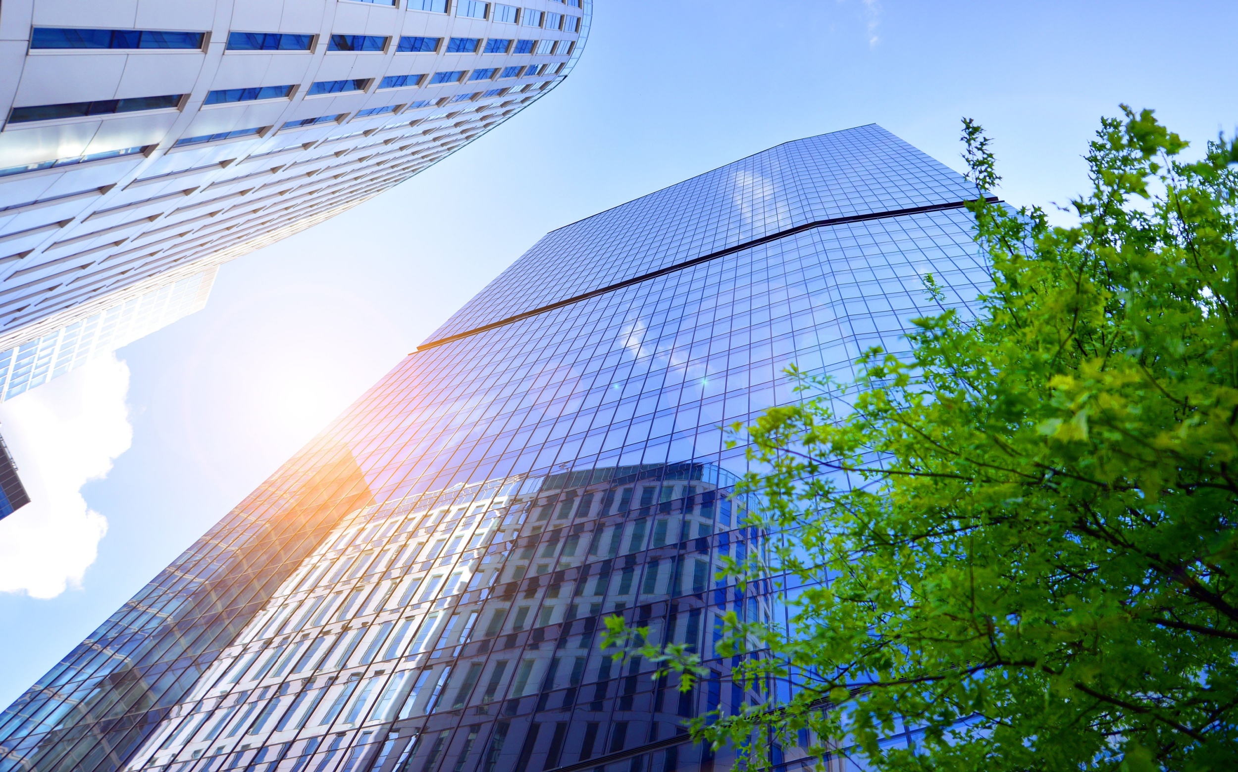 Daily energy use dominates a building’s lifetime climate impact