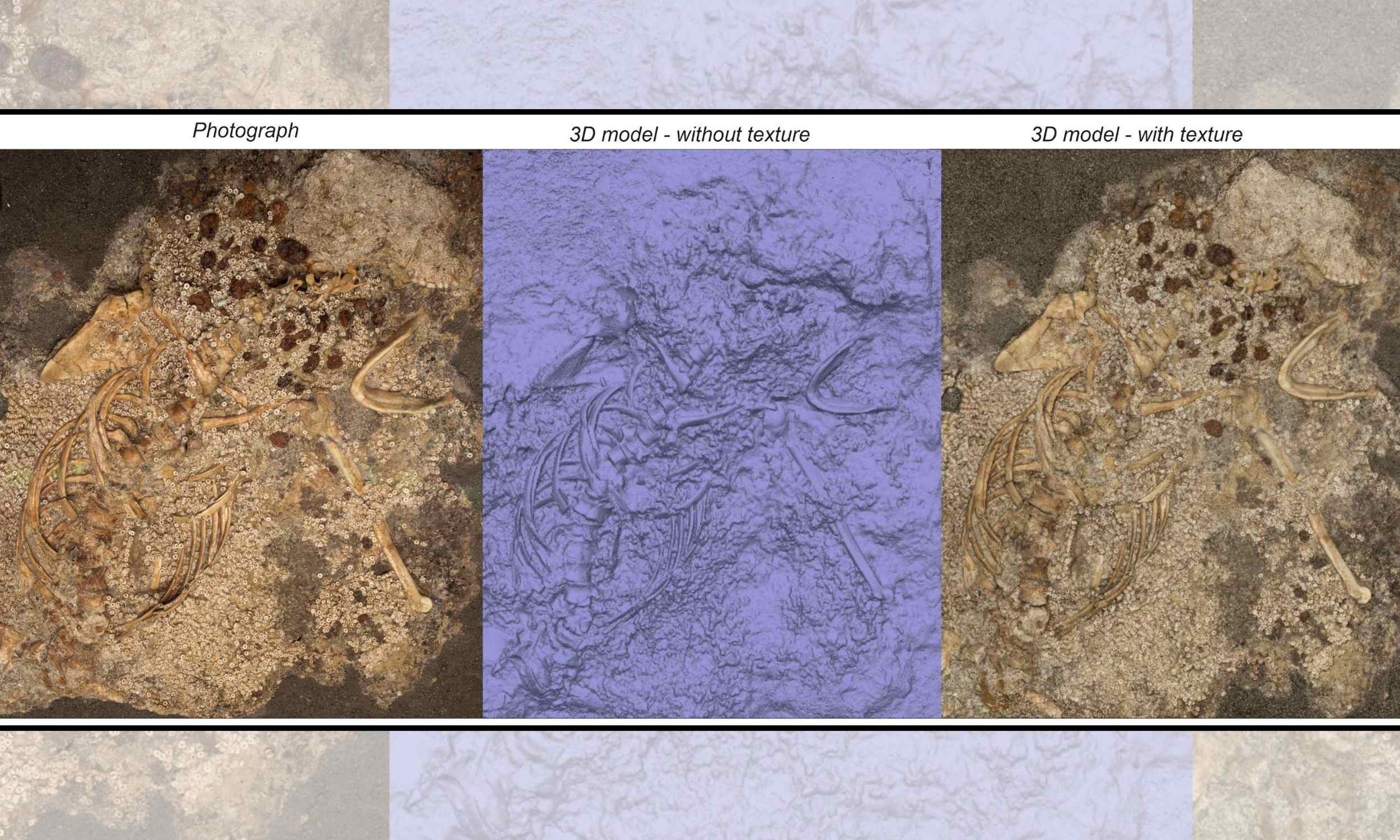 Woman buried with 270,000 beads found to be from a lost female dynasty