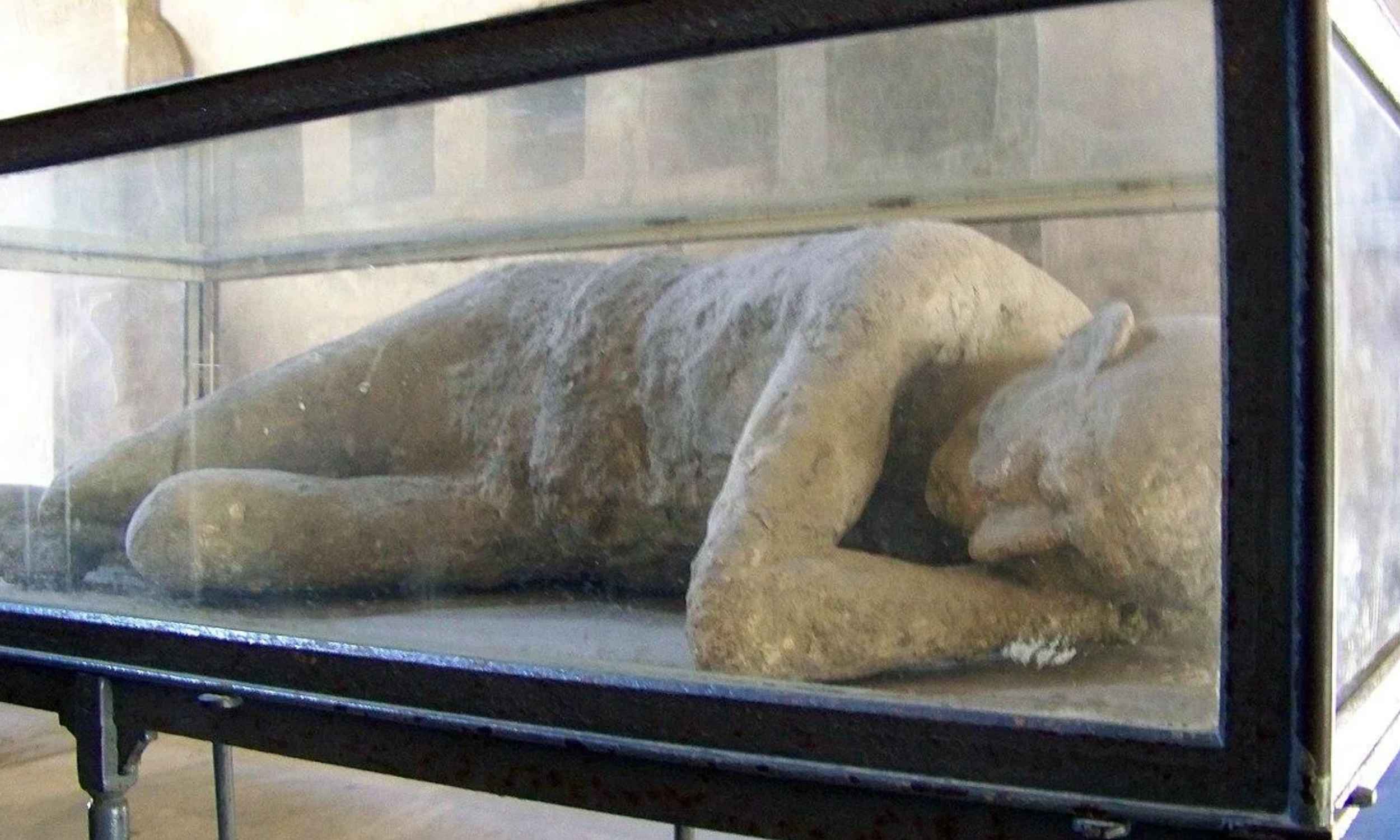 Striking detail about Pompeii victims rekindles debate about the Vesuvius eruption