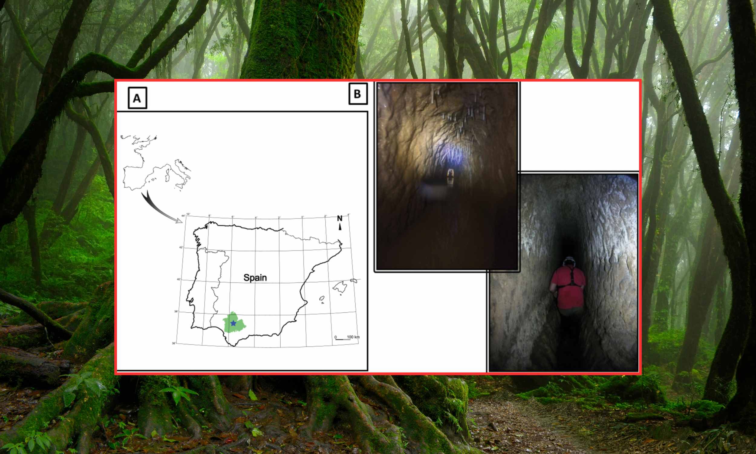 Creature with enormous eyes rediscovered in a Roman mine that dates back 2,000 years