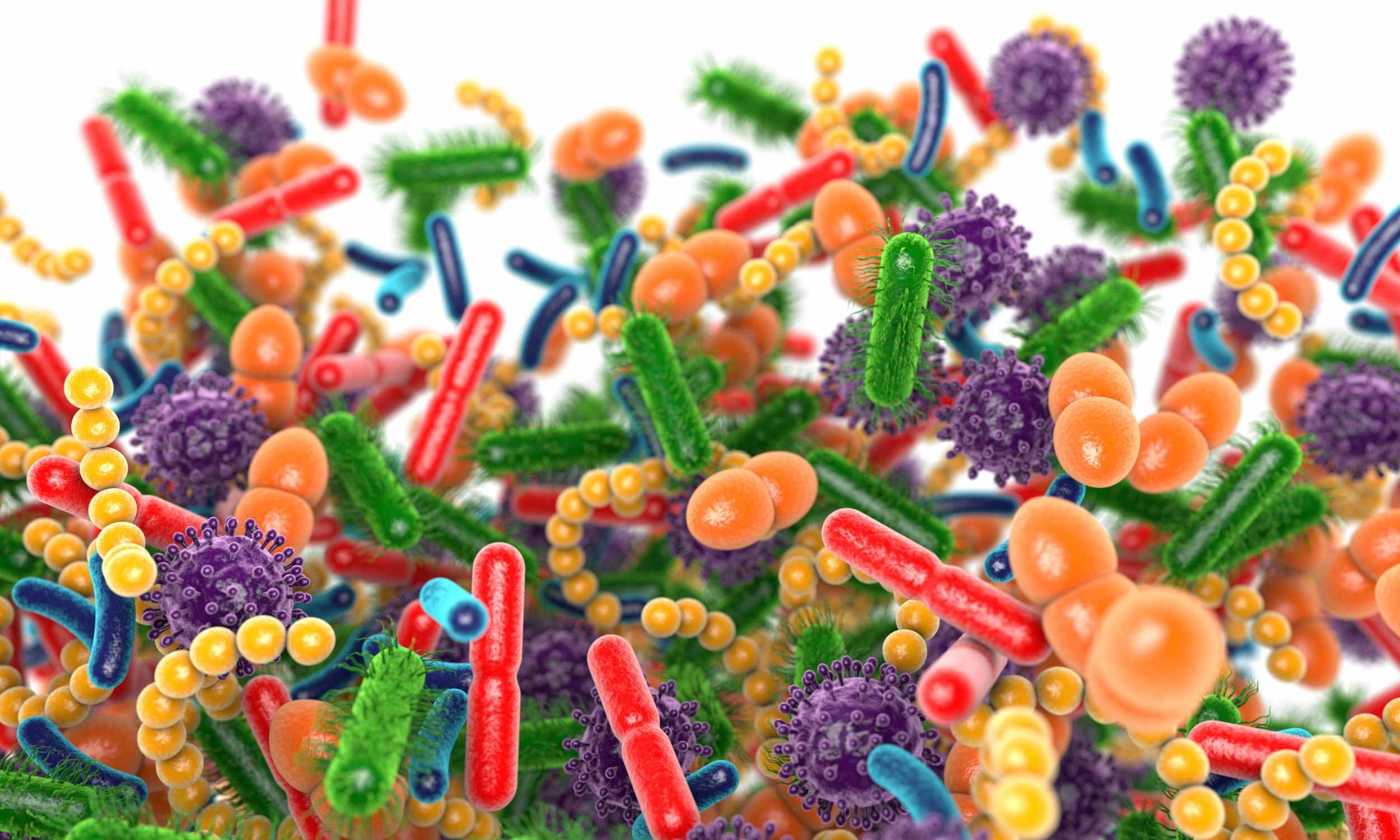 From an artisanal sausage to a potential weapon against cancer