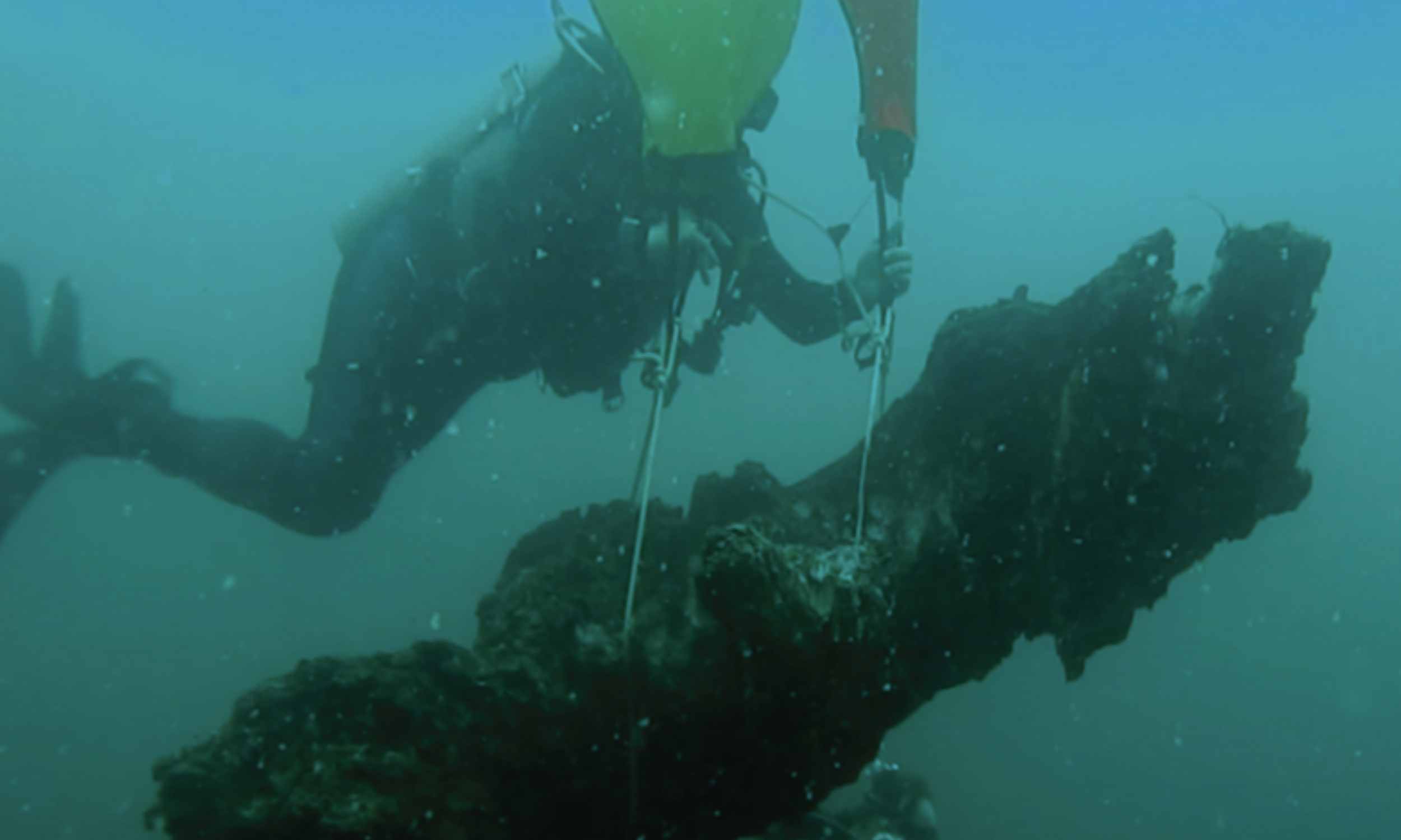 Underwater forest reveals how quickly sea levels can rise and transform nations