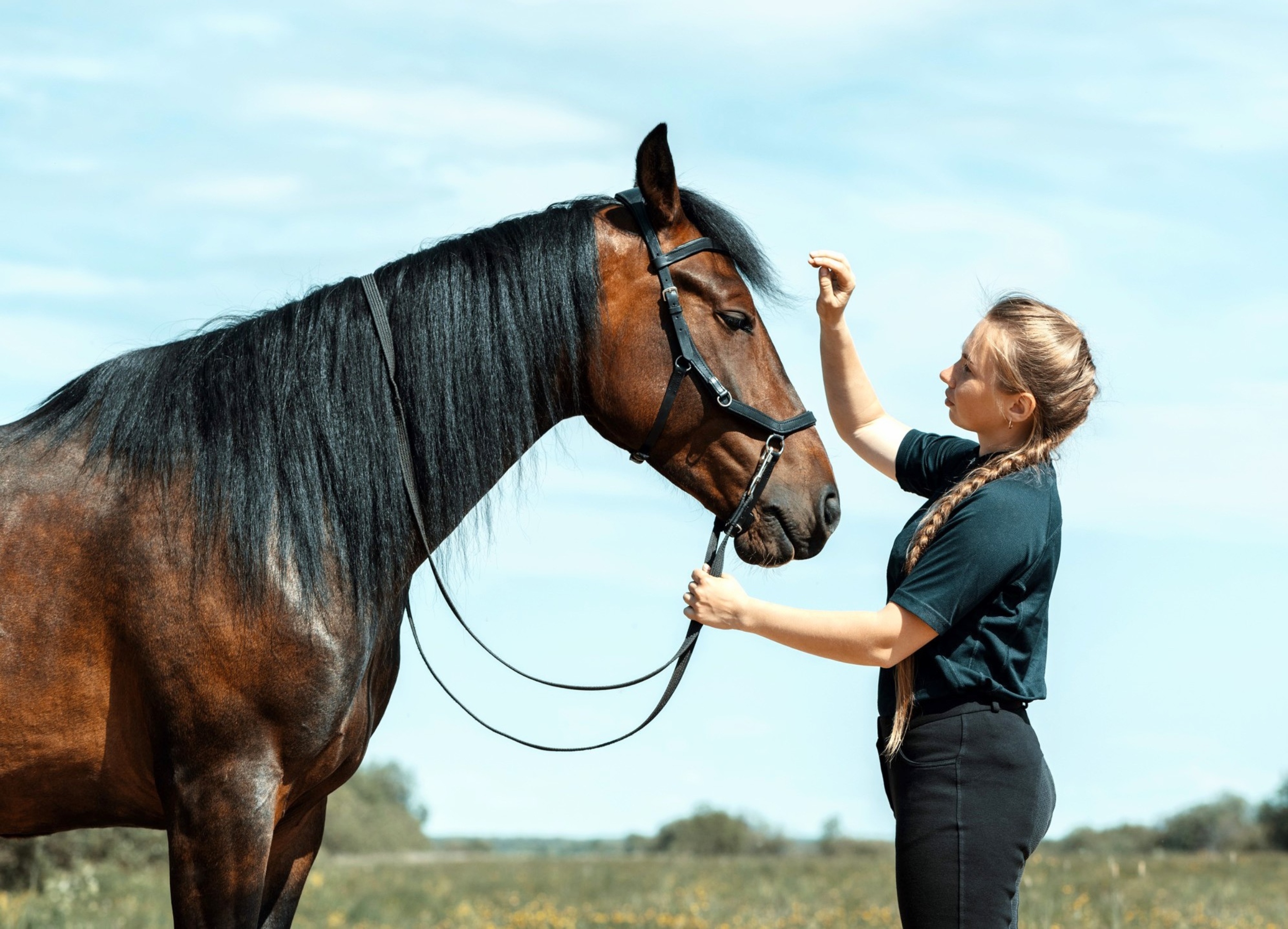 Horses react differently when they smell human fear