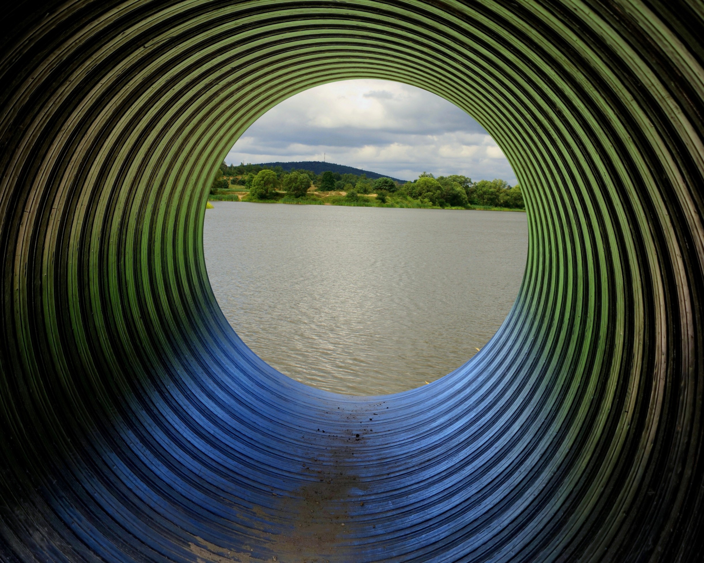 Pesticide exposure linked to accelerated aging in fish