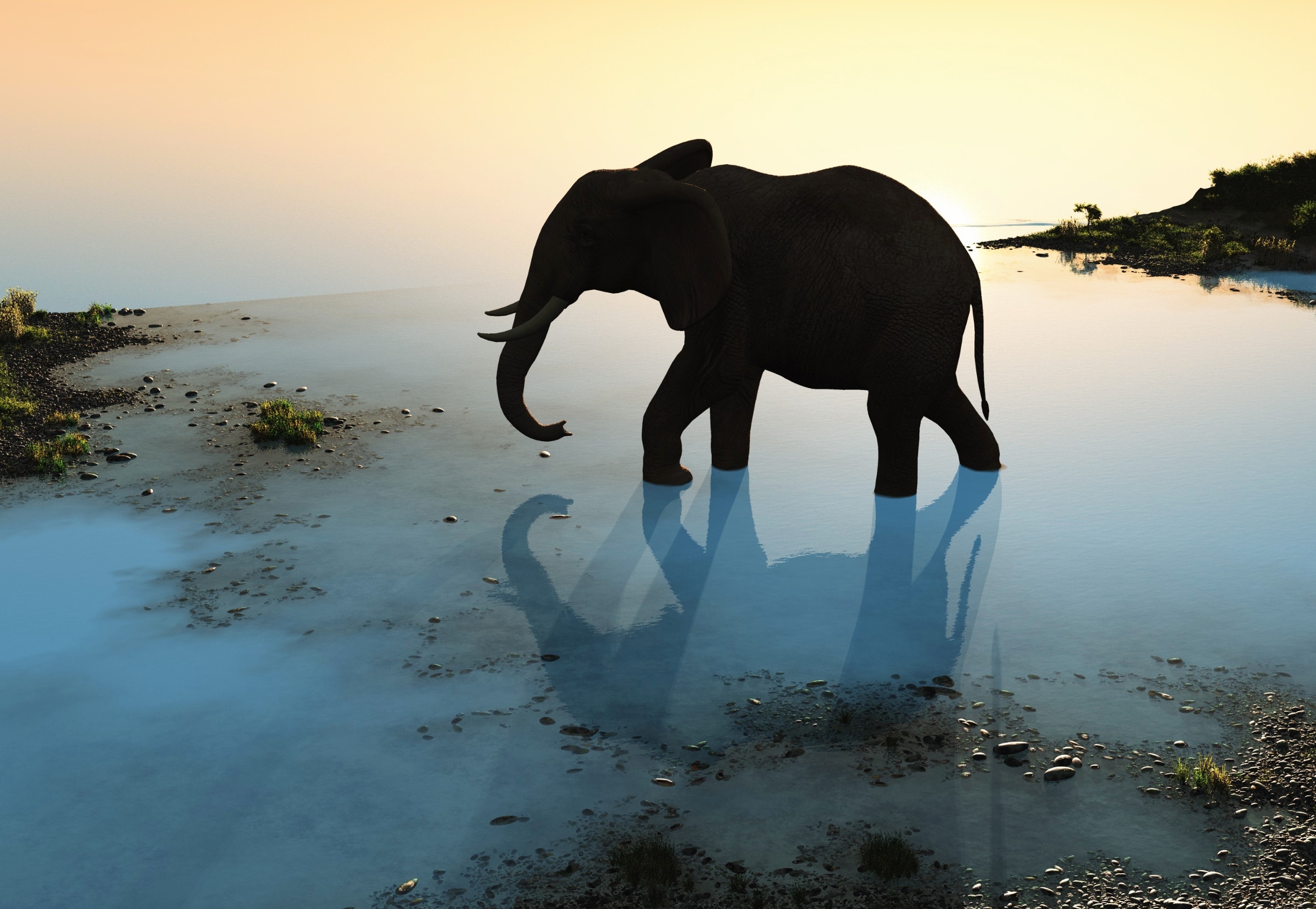 Early humans unlocked a new survival strategy by hunting elephants