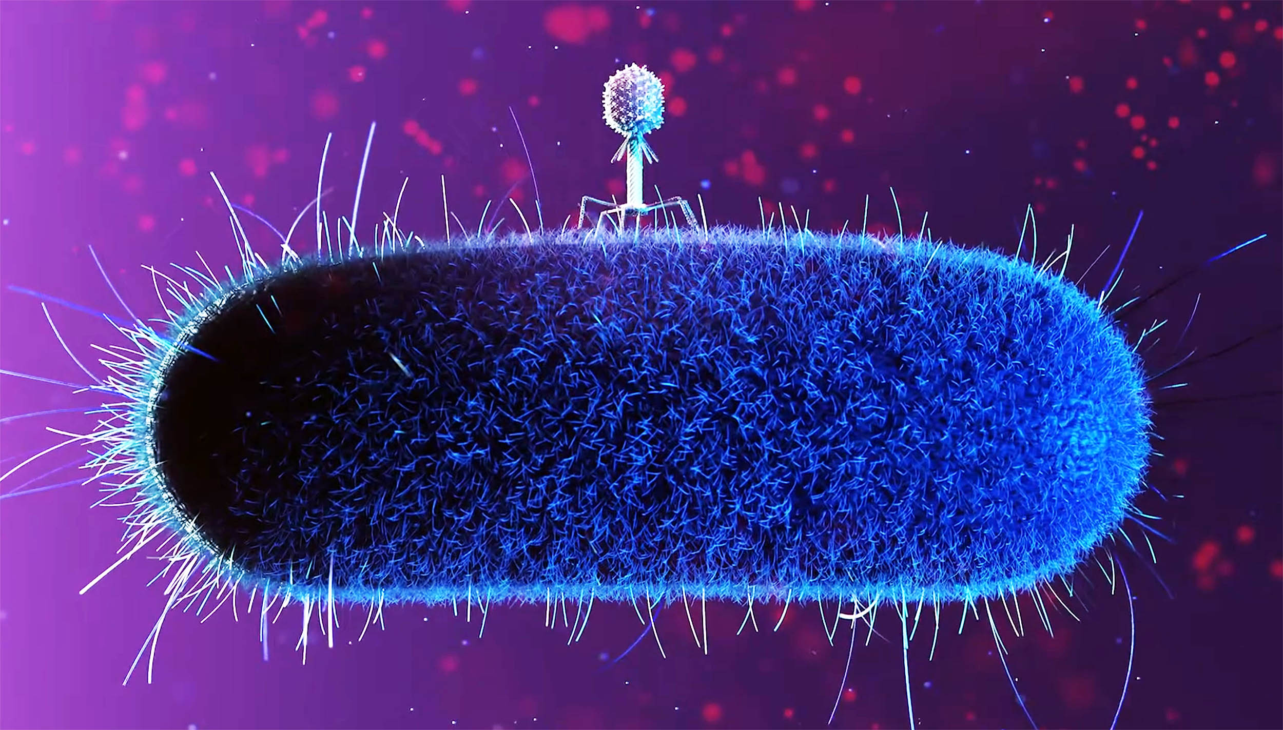 Mutant organisms called 'space phages' could solve the global antibiotic crisis