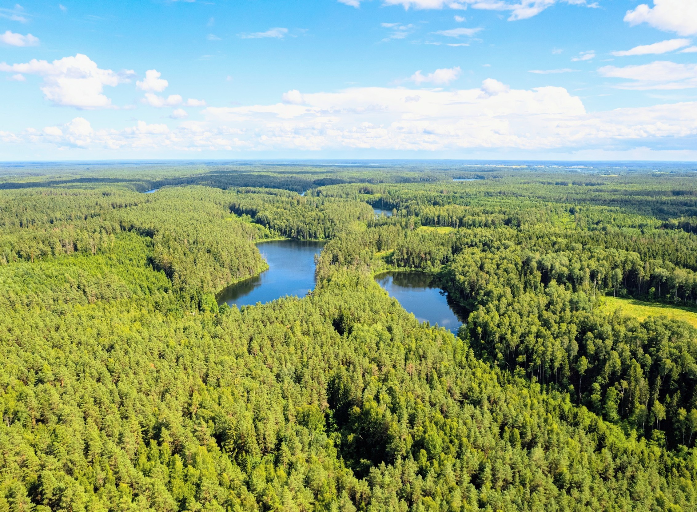 Critical gaps in forest maps complicate climate action