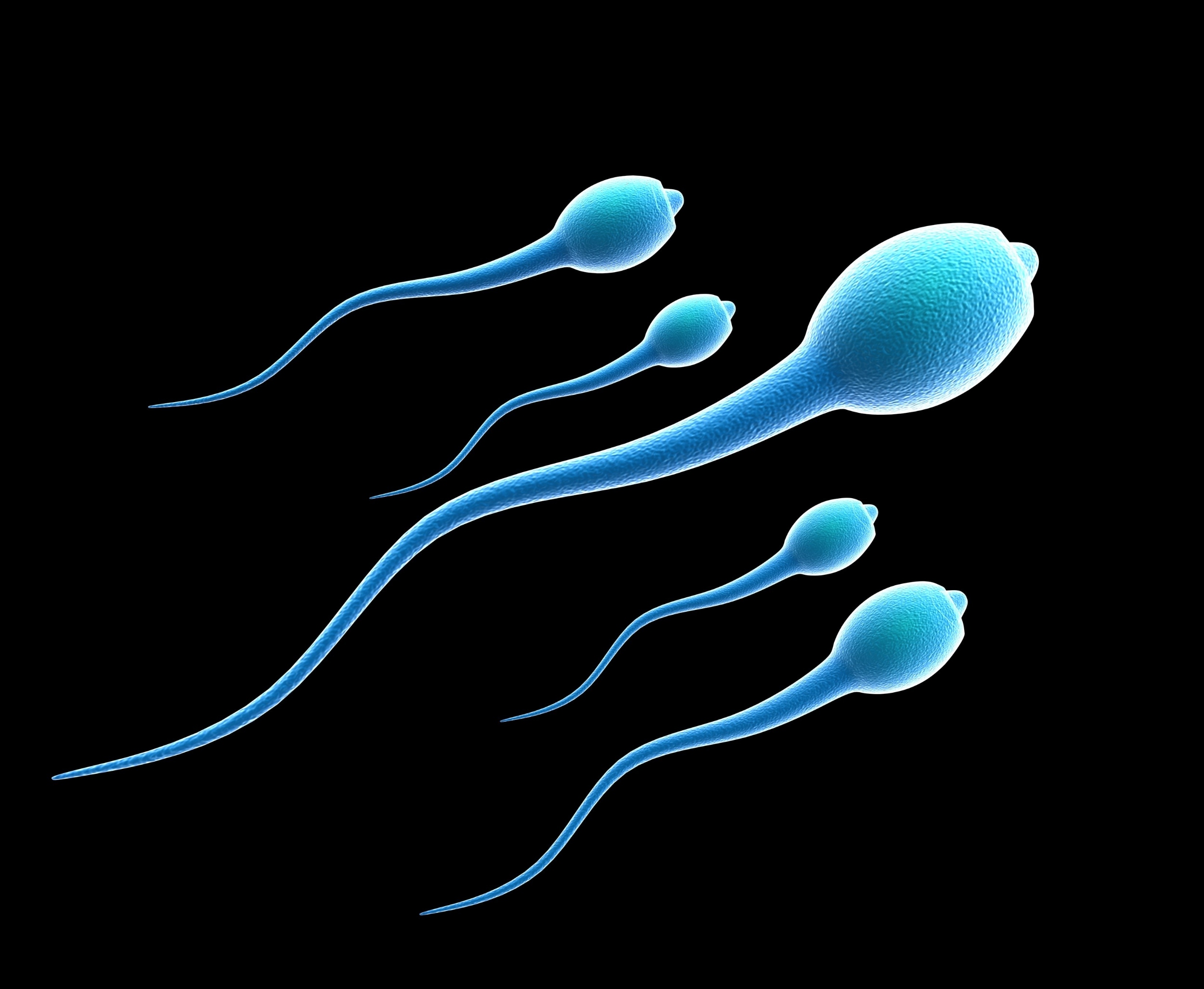 Human sperm has a hidden ‘aging clock’ linked to offspring health