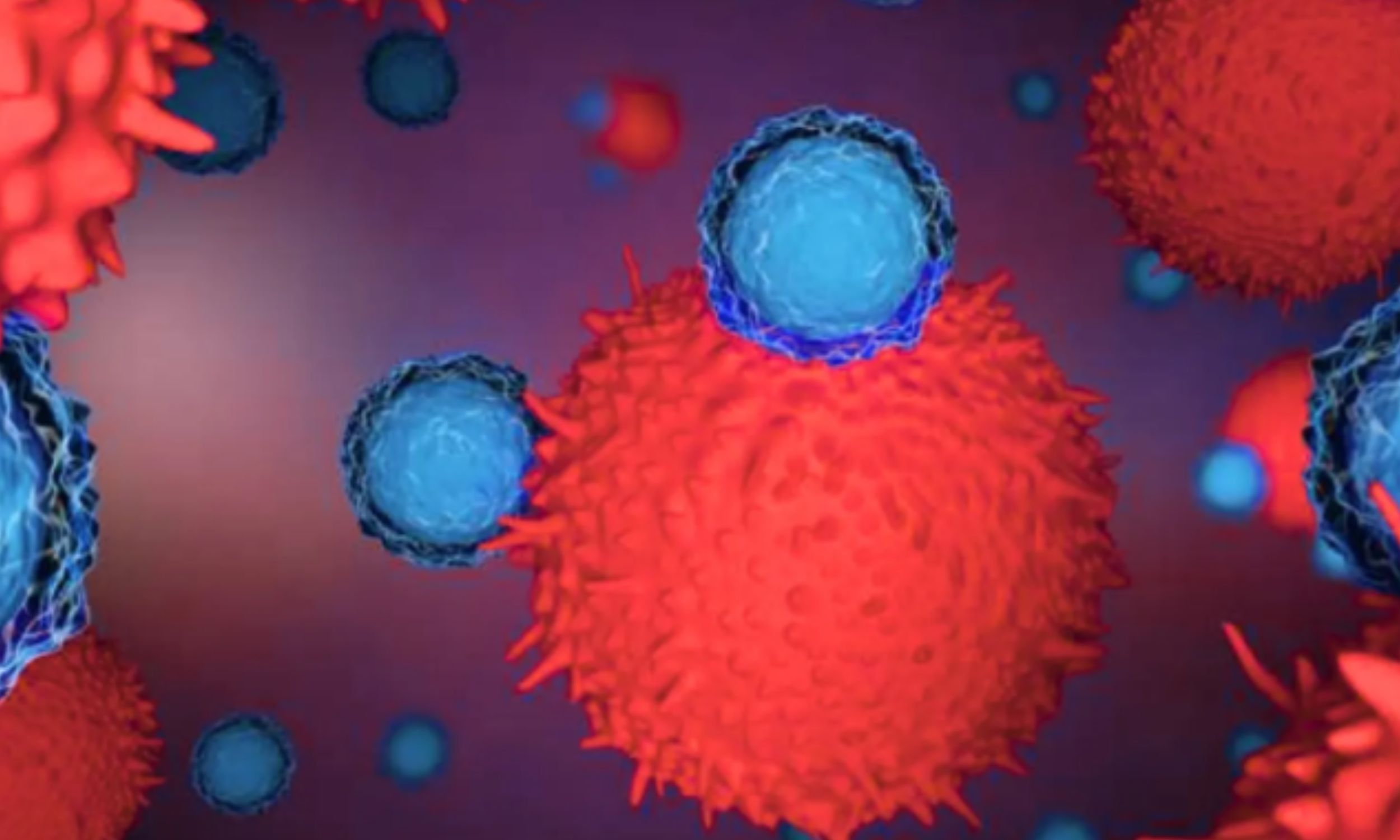 Vaccine shown to prevent recurrence of pancreatic cancer