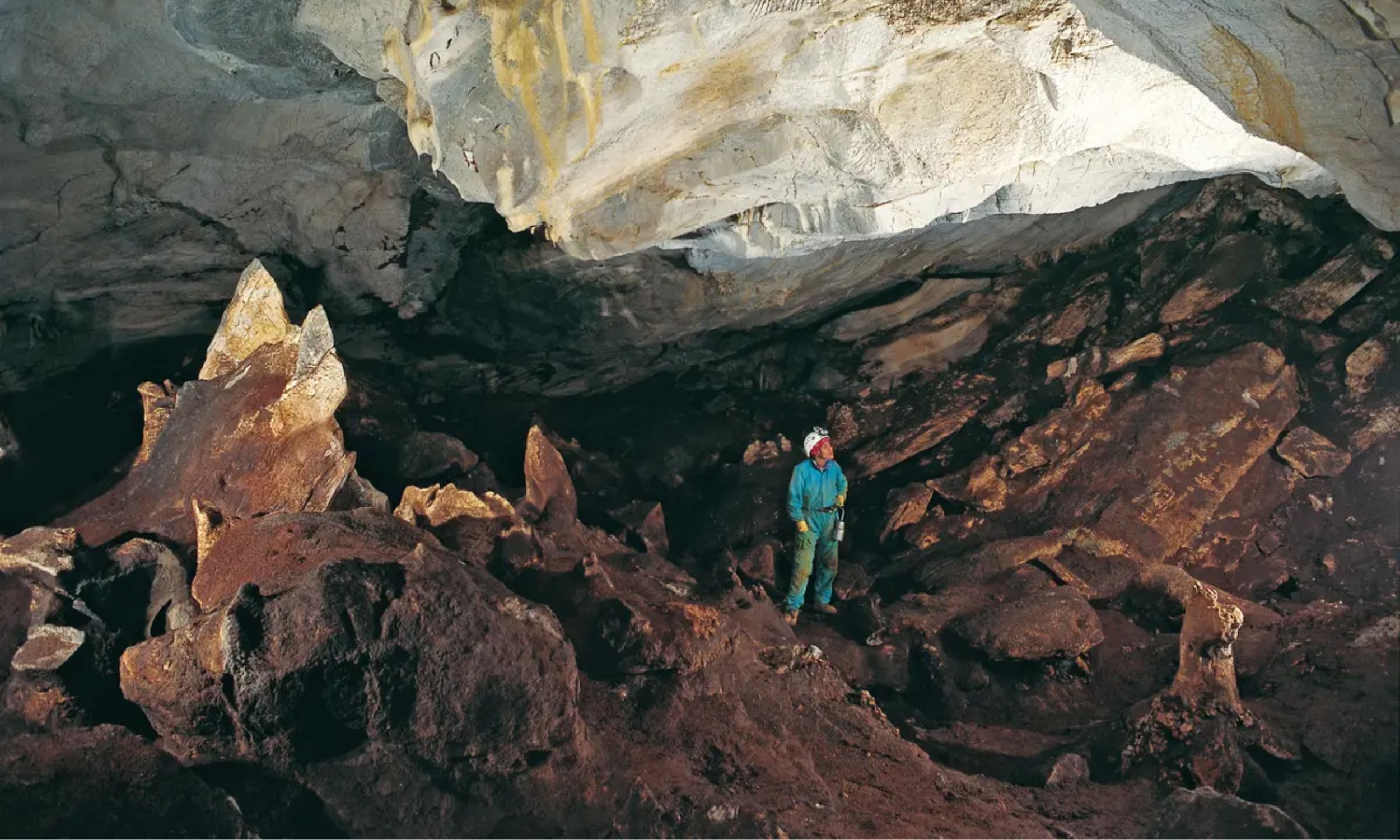 3,700-year-old DNA reveals a family secret that stunned scientists