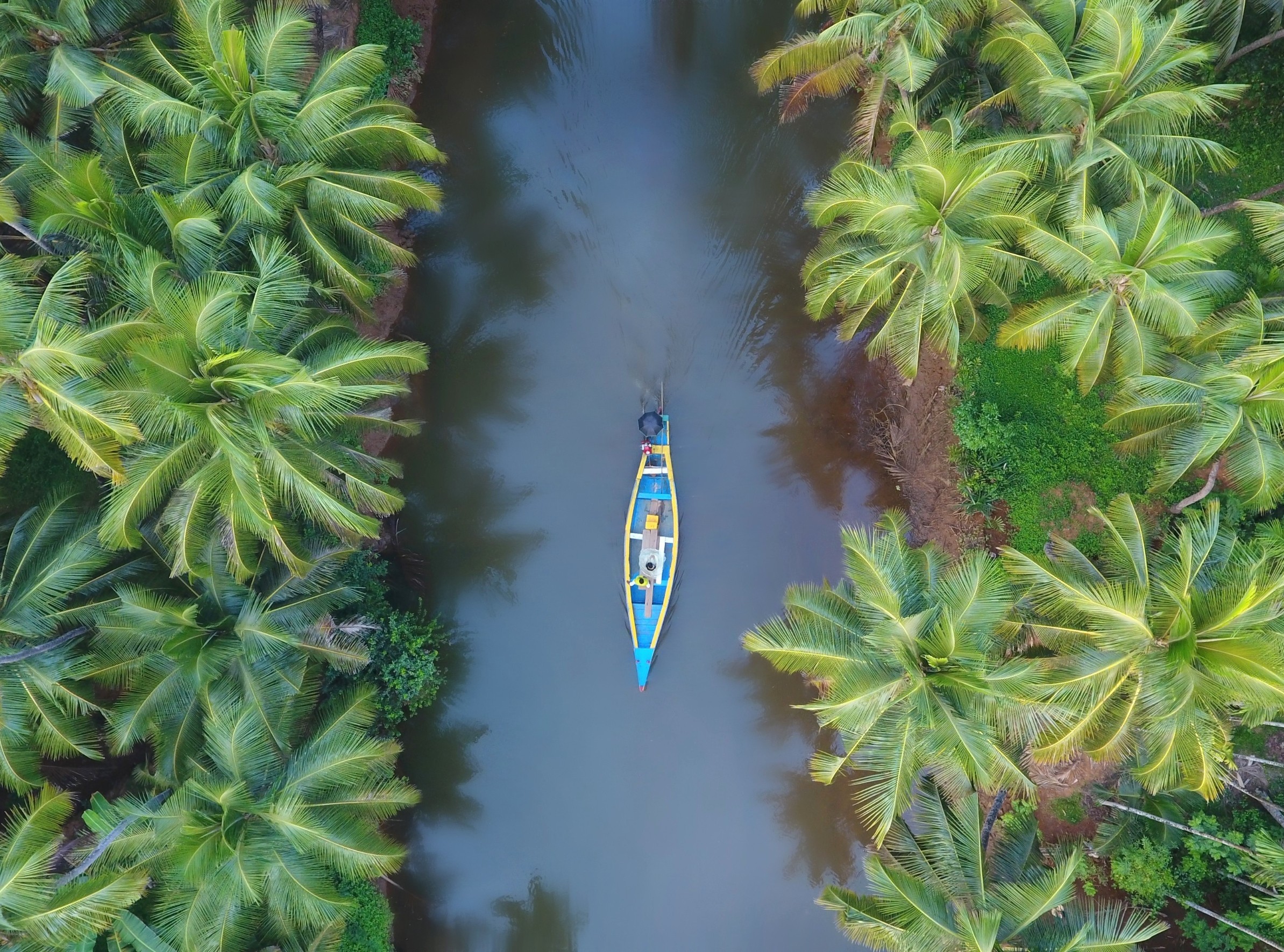 Human expansion into the Amazon opens the door to old diseases