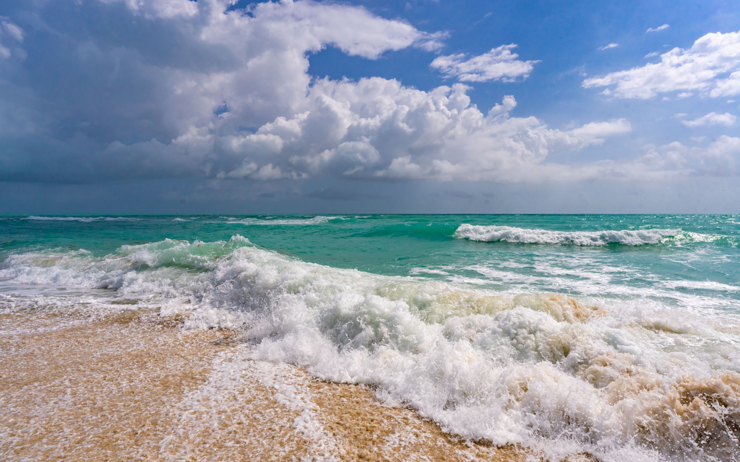 Ocean microbes cooperate to help each other survive