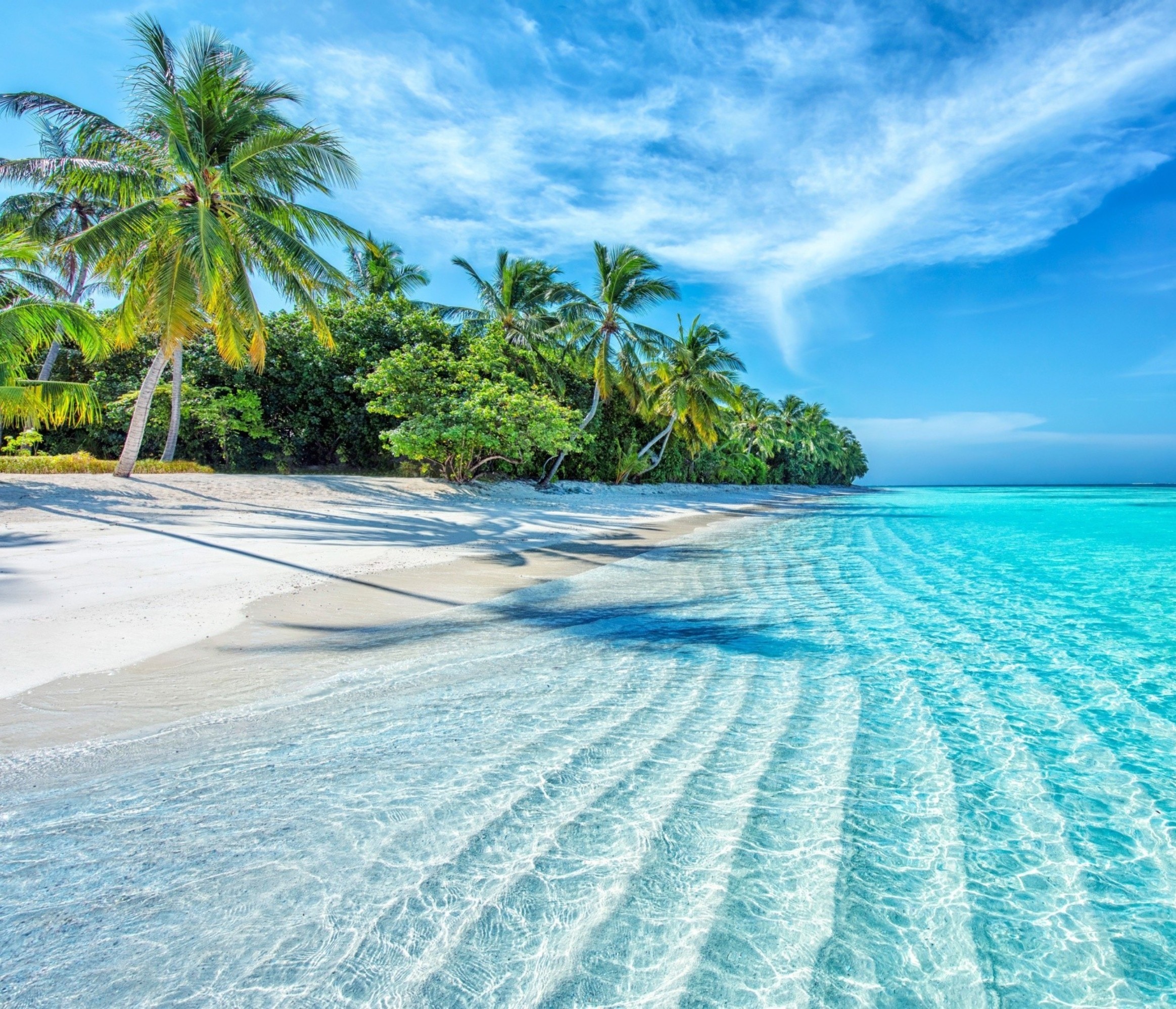 Tropical oceans were once Earth's oxygen hotspots