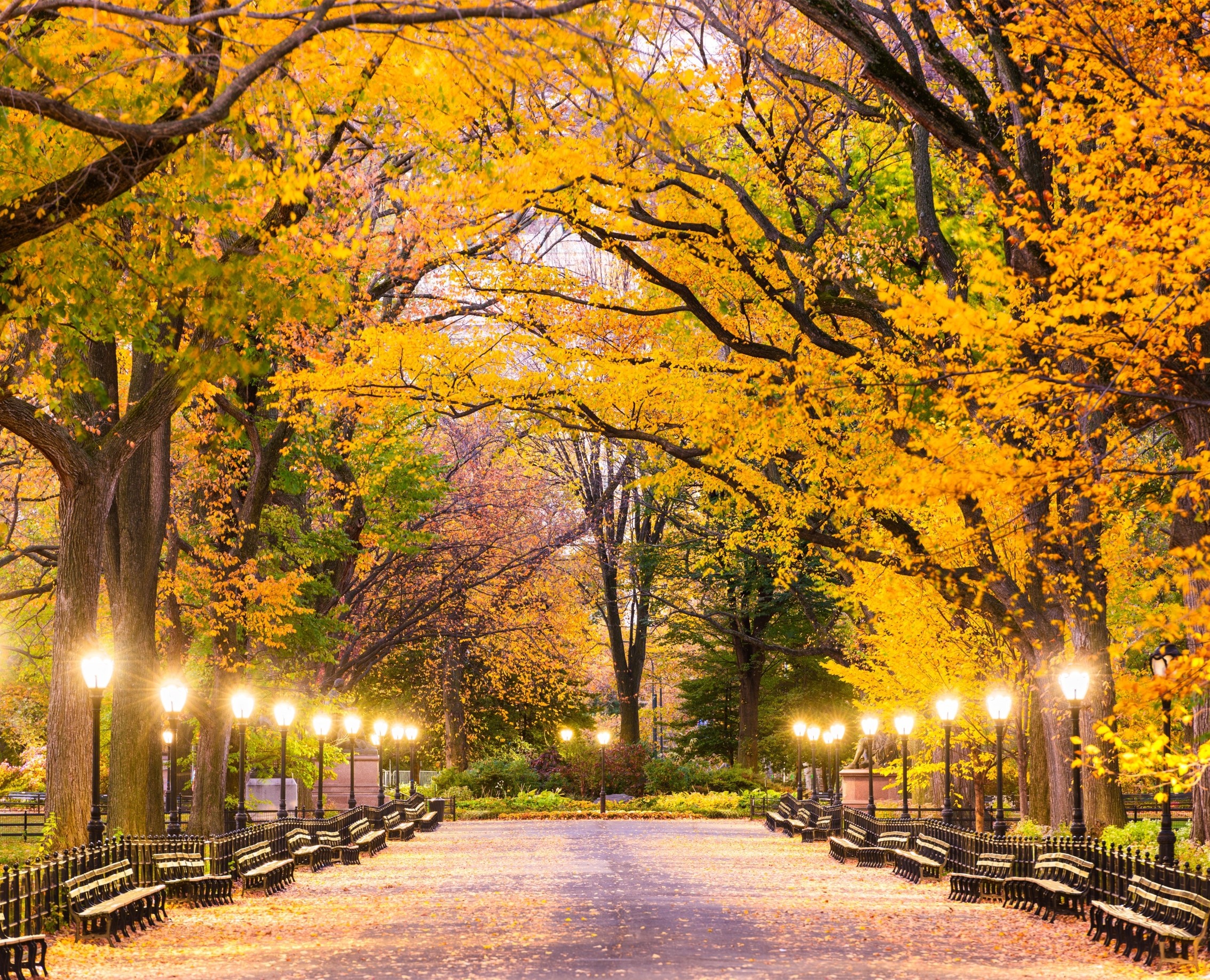 How artificial light is extending pollen seasons