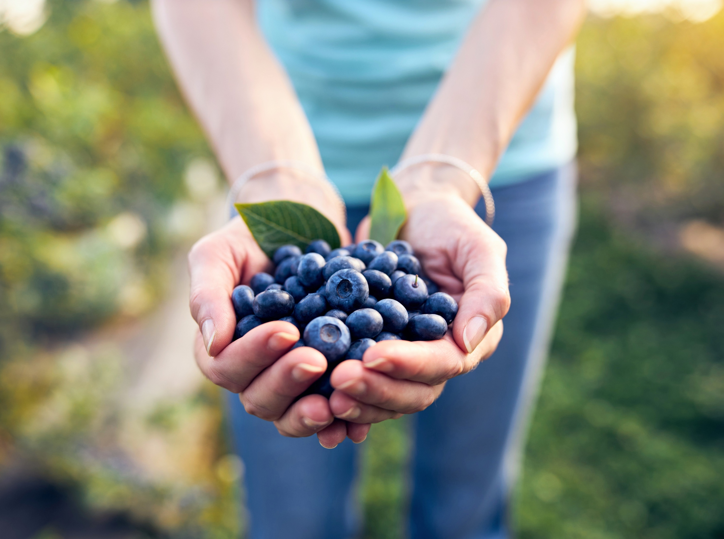 Wild blueberries support heart health in a powerful, measurable way