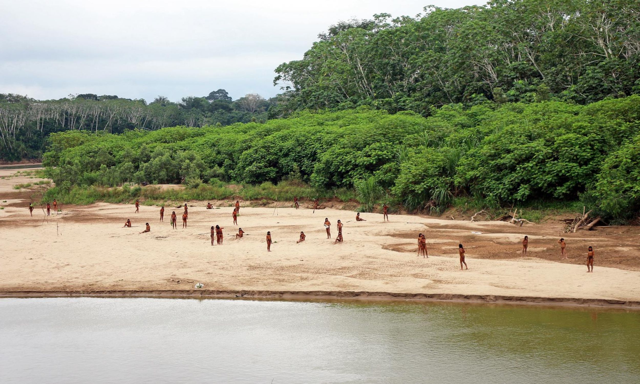 Safety risks rise for uncontacted Mashco Piro in the Amazon