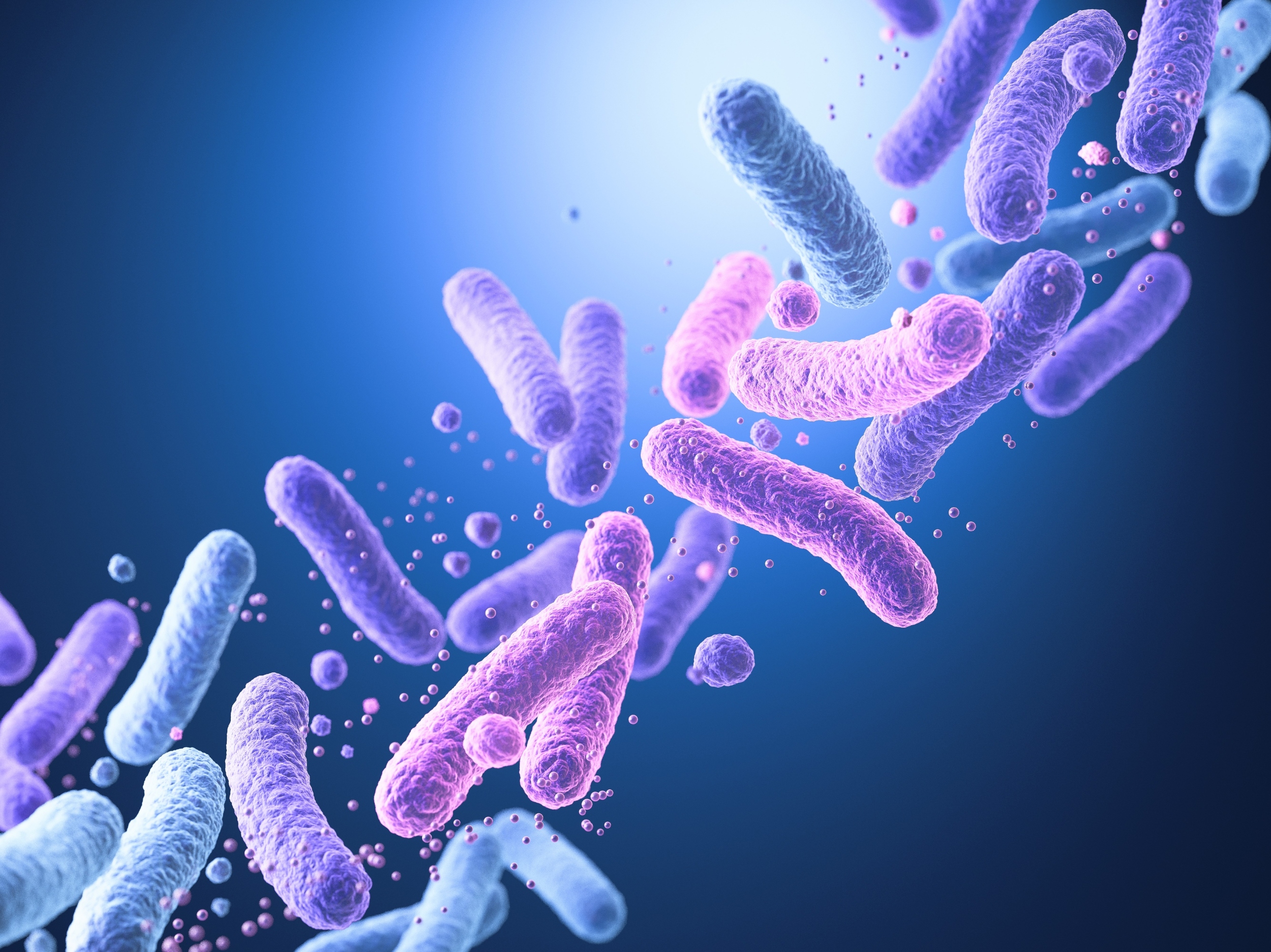 Gut bacteria use proteins to communicate directly with our cells