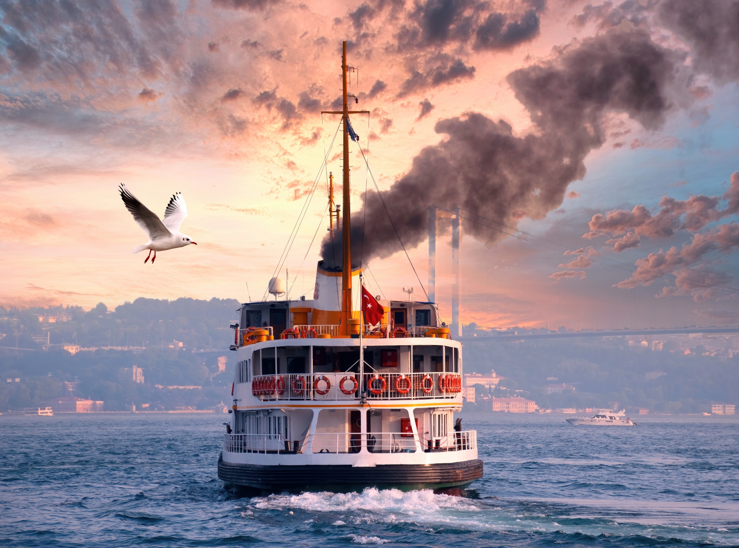 Why cutting local pollution hasn’t lowered ozone