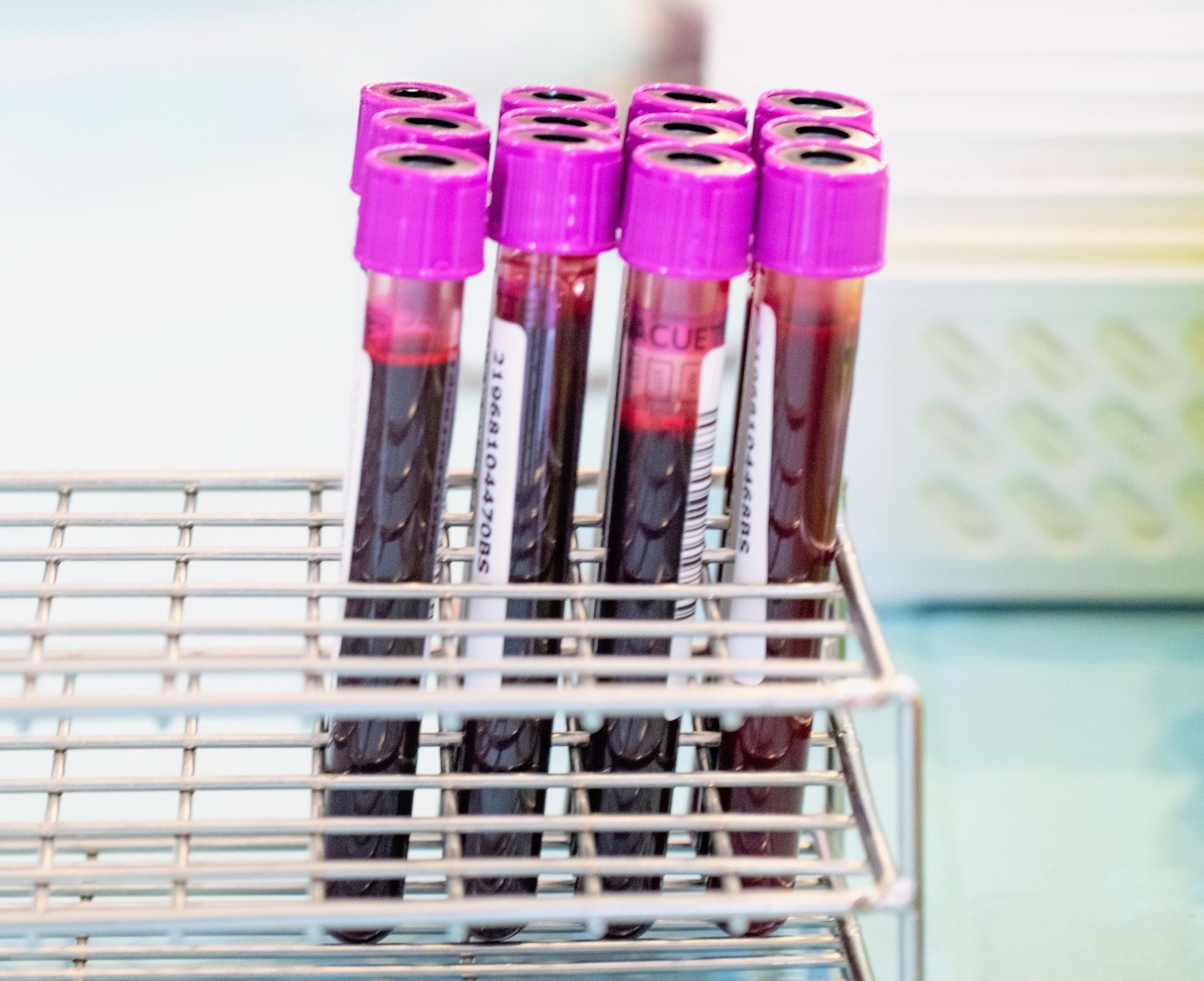 Nipah virus update: What the latest cases mean for spread and risk