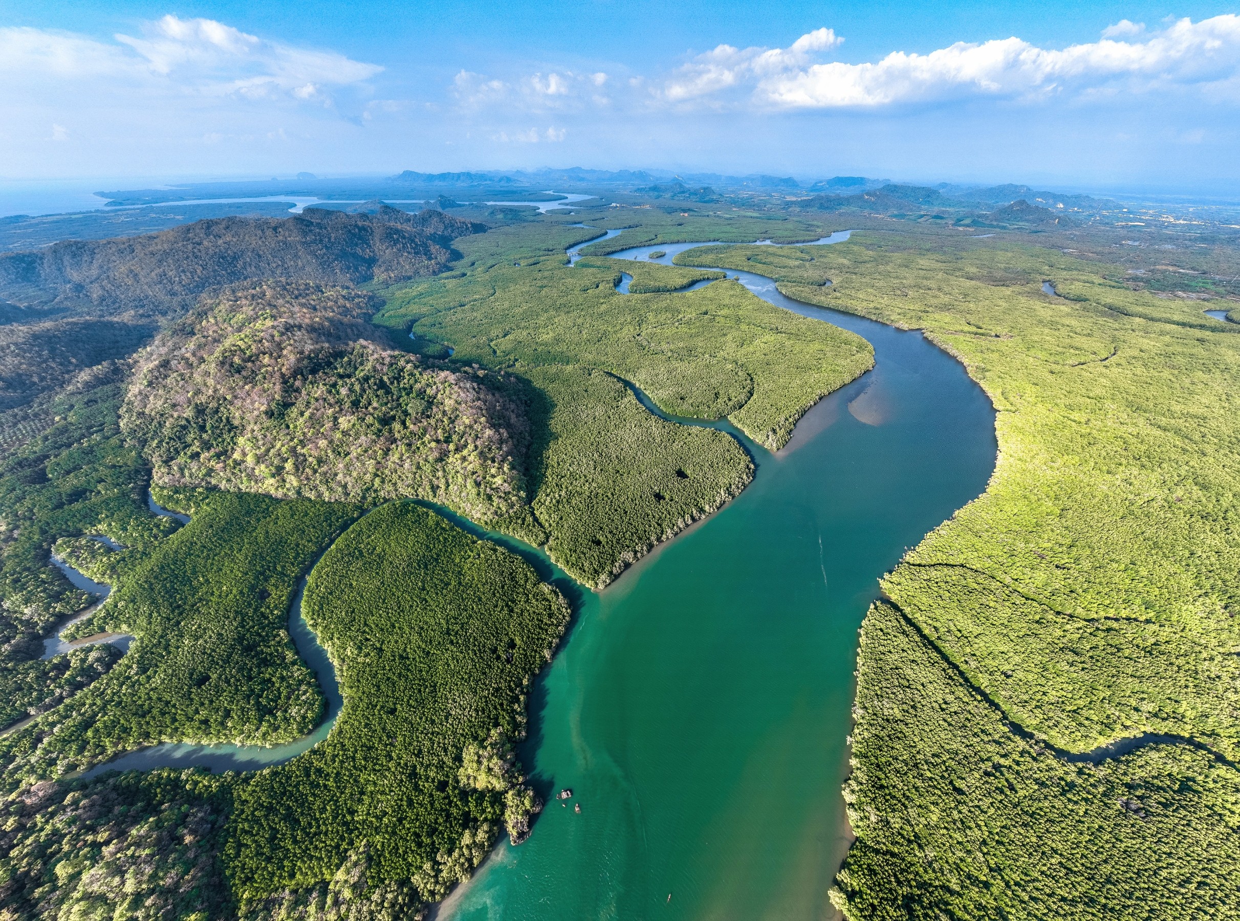 Flooding wetlands to fight climate warming may backfire