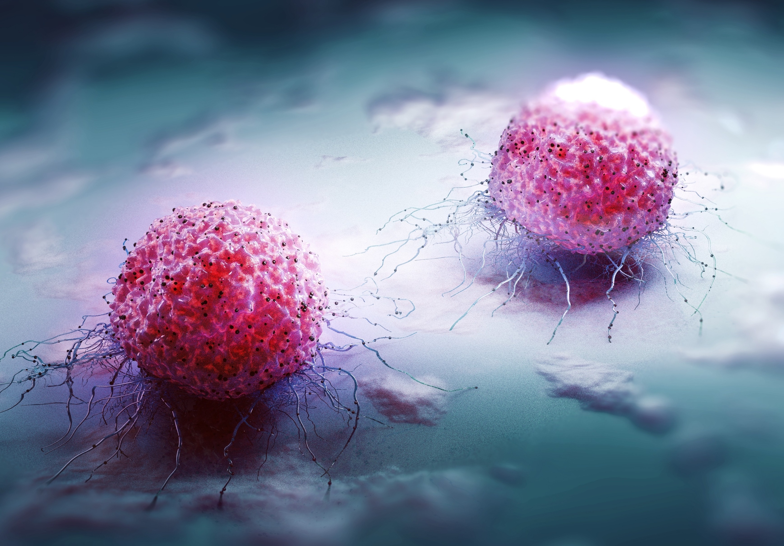 Scientists turn tumor immune cells into cancer killers