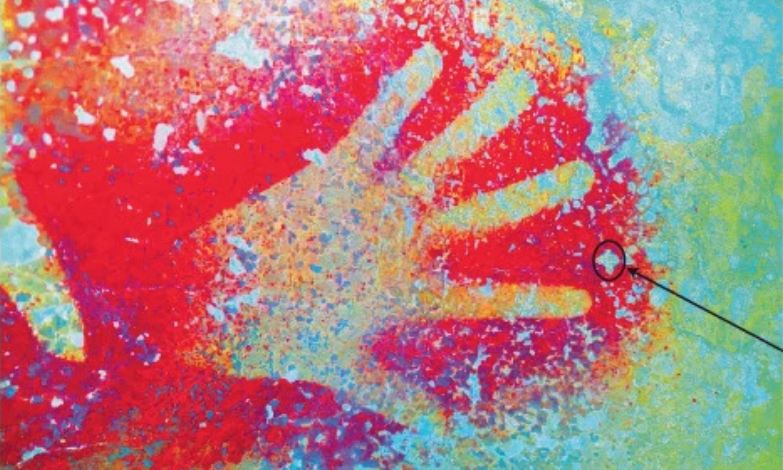 A discovery in an Indonesian cave has just rewritten art history