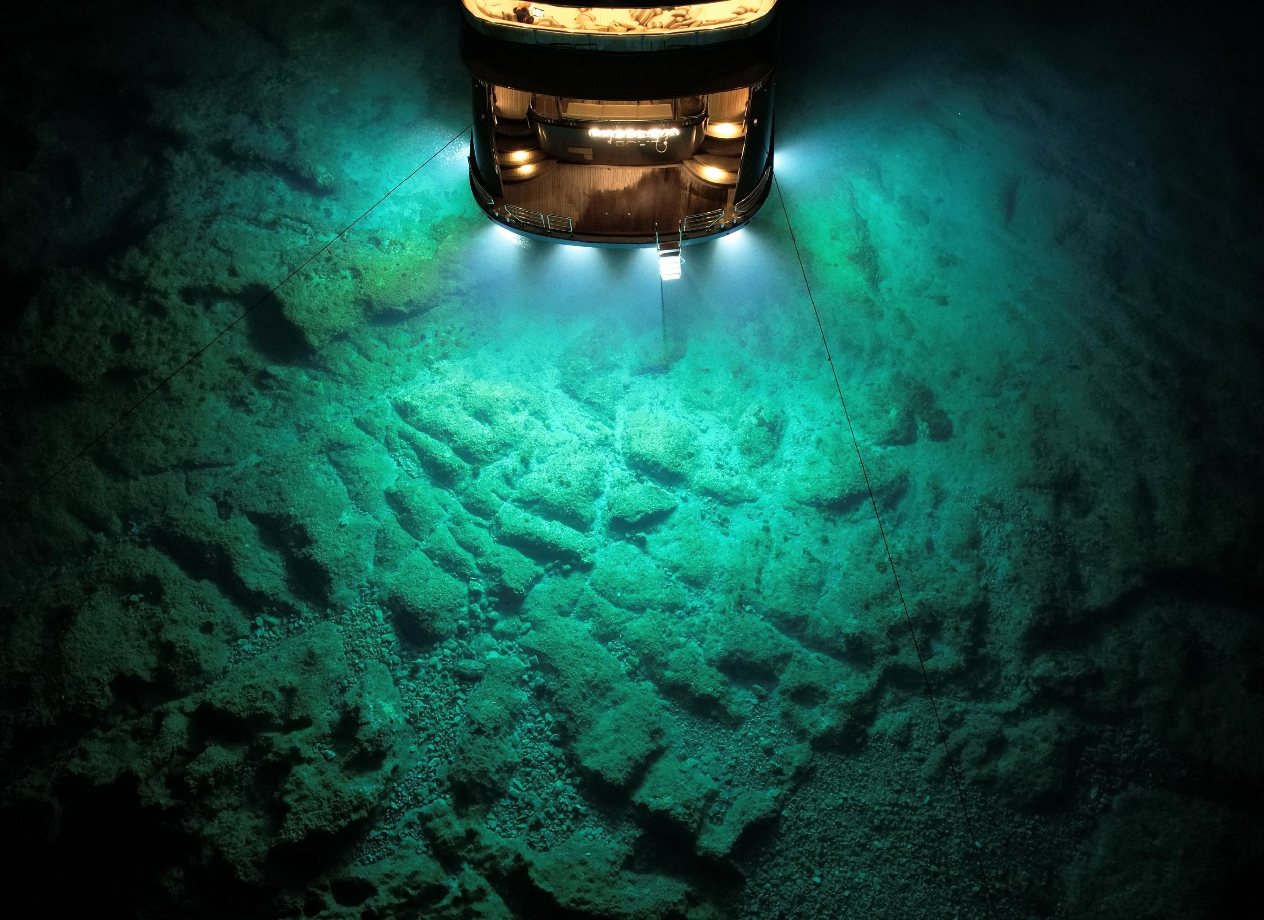 Deep-sea mining causes immediate loss of seafloor life