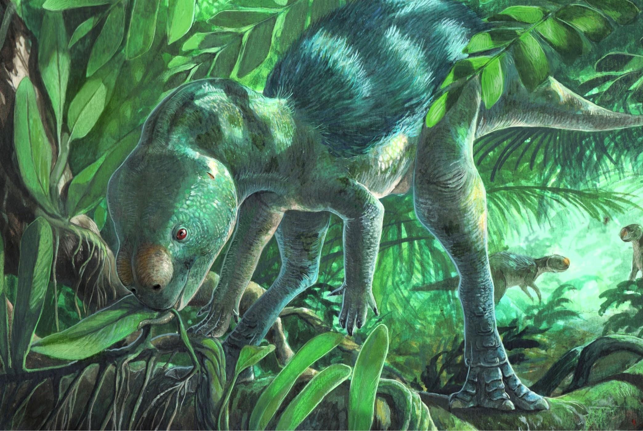 Tiny dinosaur discovery challenges ideas about miniaturization
