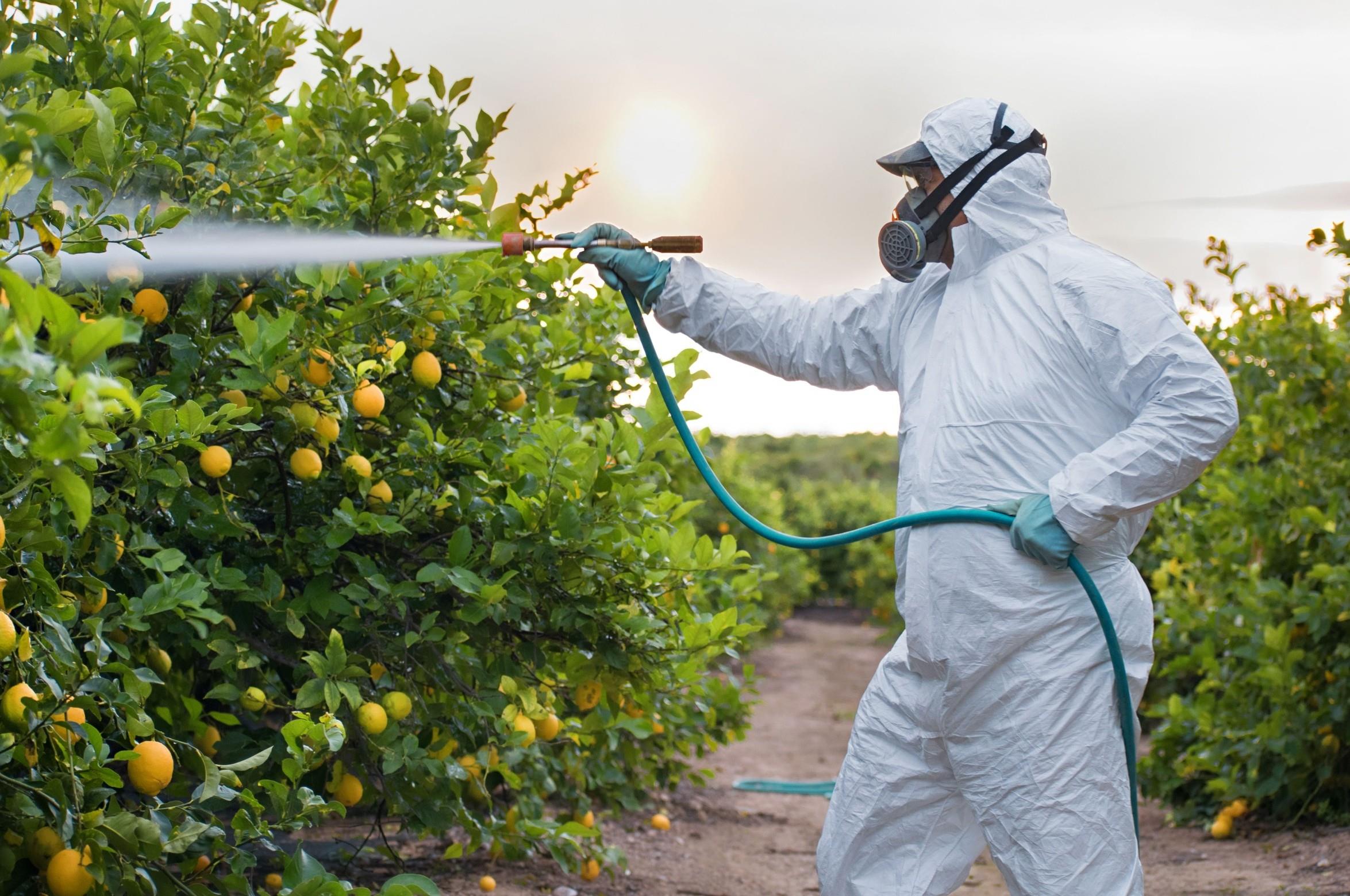 Rising pesticide toxicity is putting ecosystems at risk