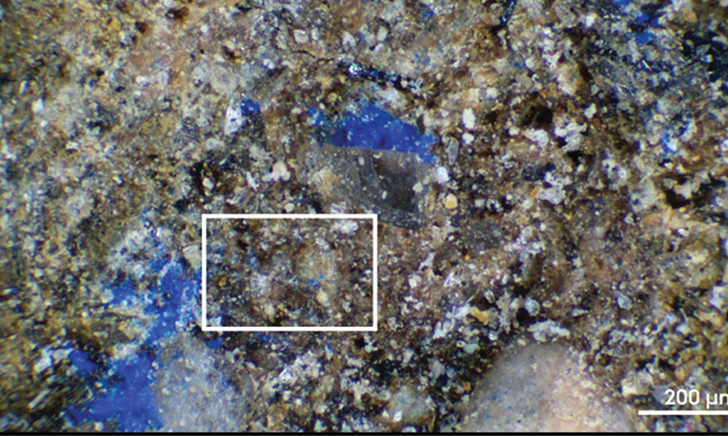 Forgotten museum object holds Europe’s oldest blue pigment