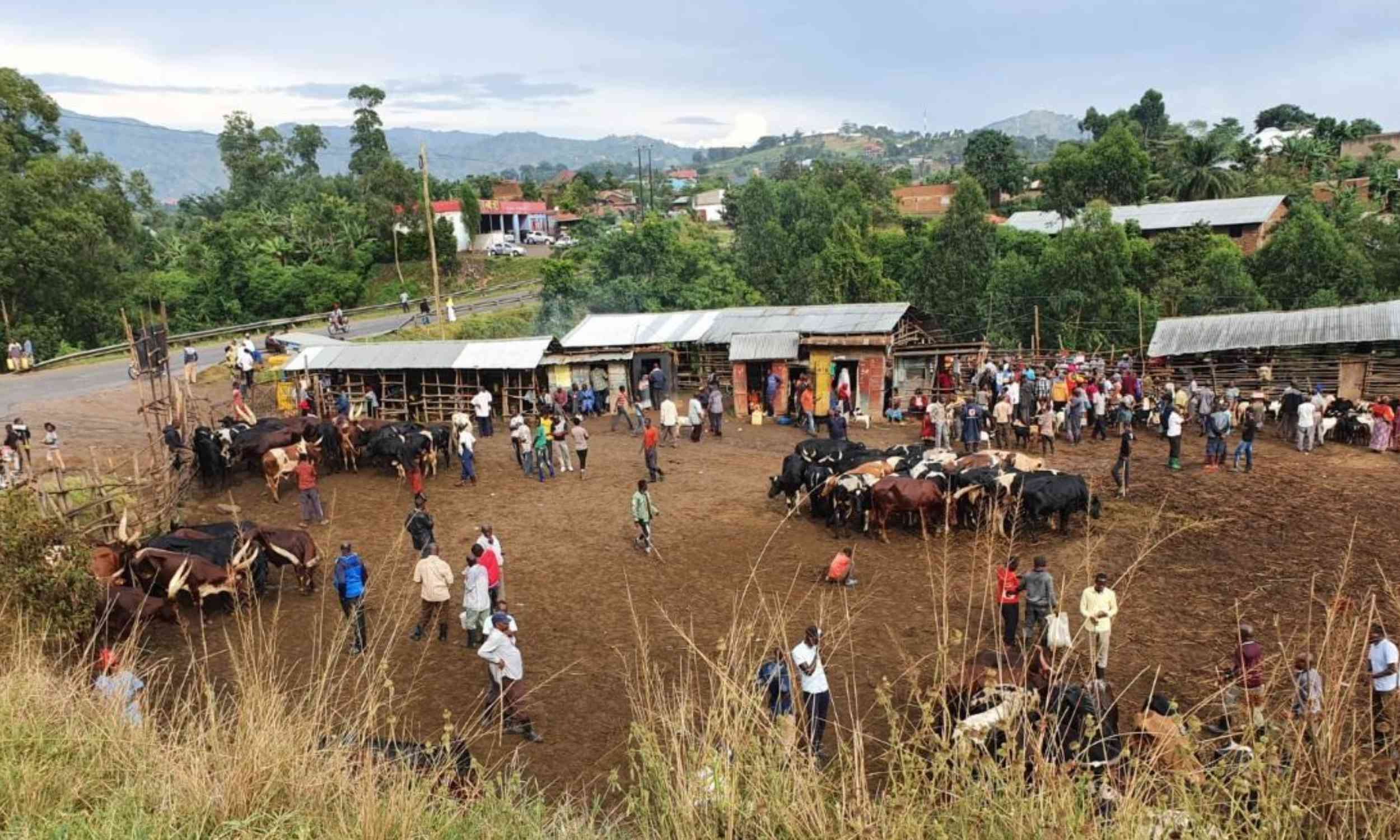 Genetic sequencing reveals that 1 in 4 people in Uganda have been exposed to a deadly hemorrhagic virus