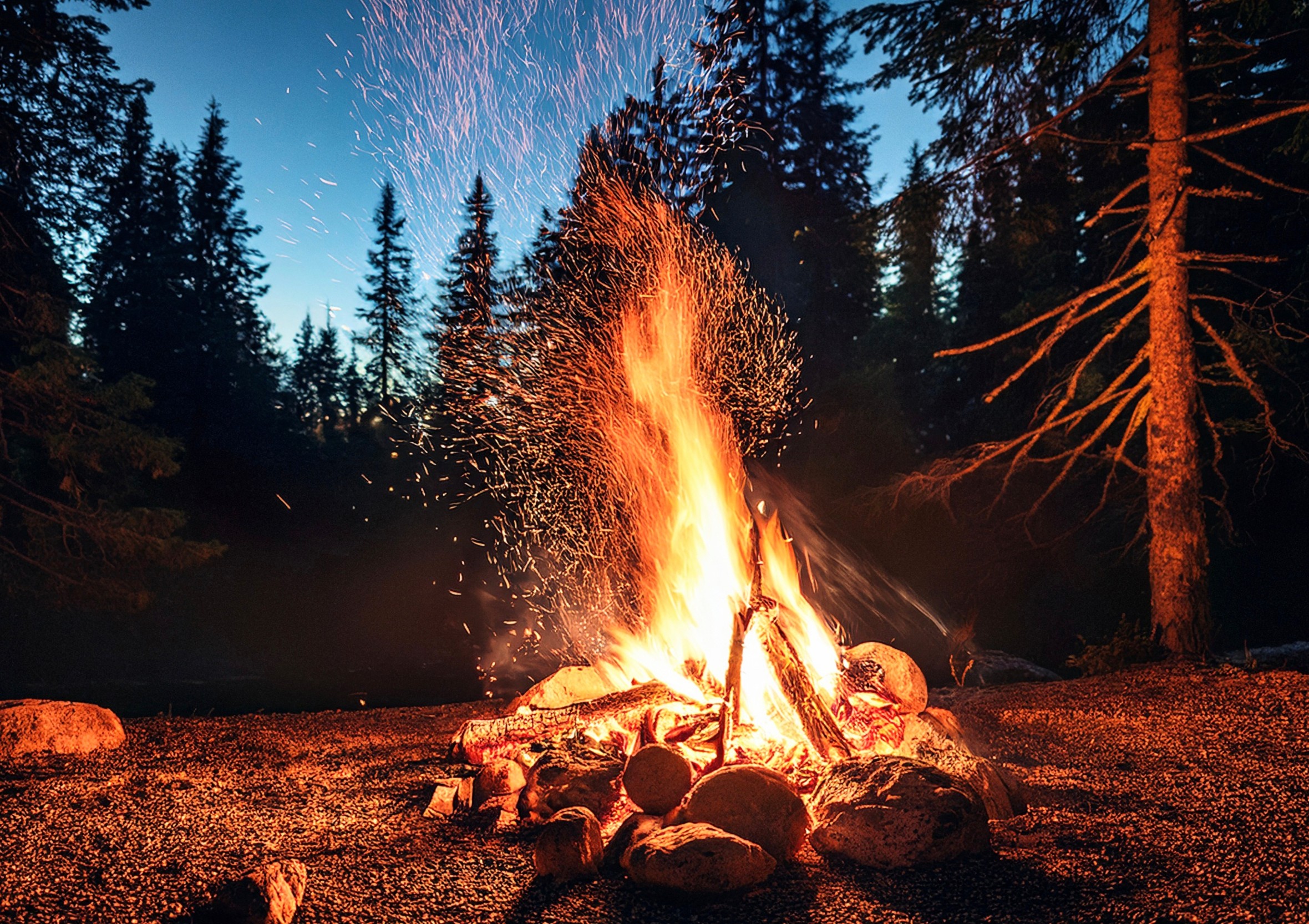 Burn injuries may be part of human evolution