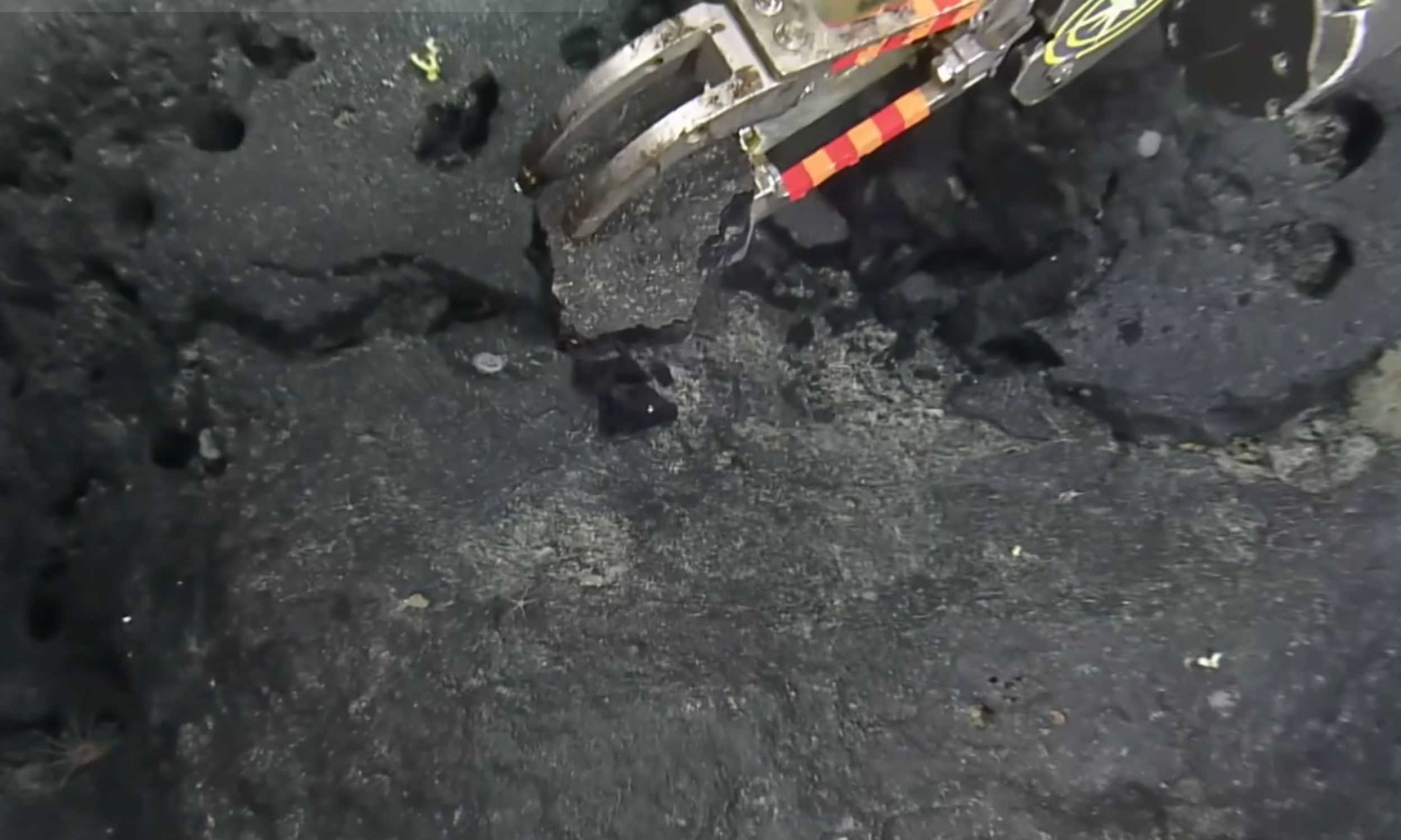 Scientists find a "yellow brick road" nearly 10,000 feet below the sea