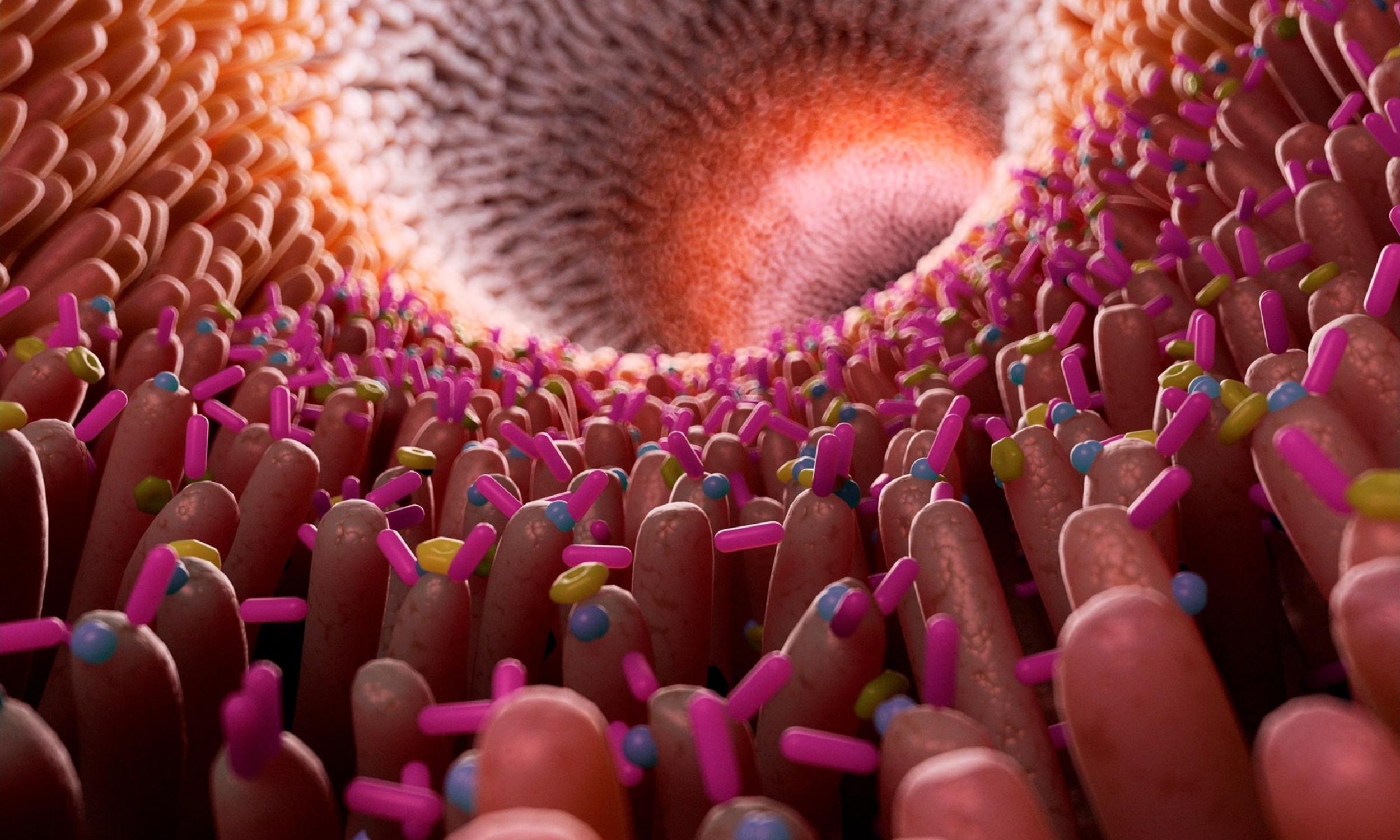 Everyday household products could be harming your gut microbes