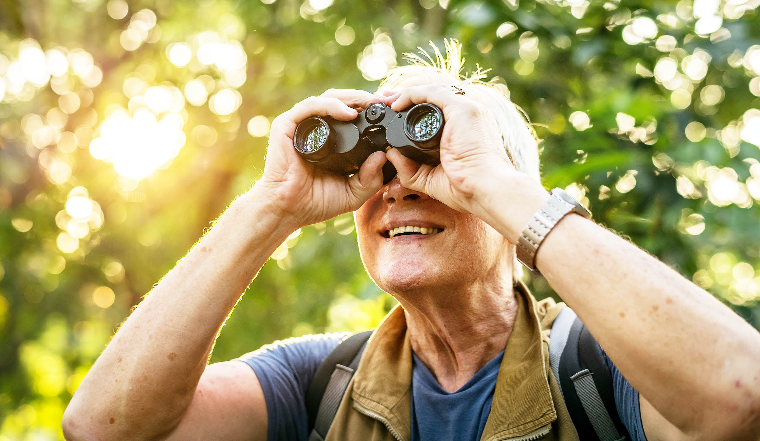Birdwatching reshapes brain regions that boost perception, attention, and memory, according to neuroscientists