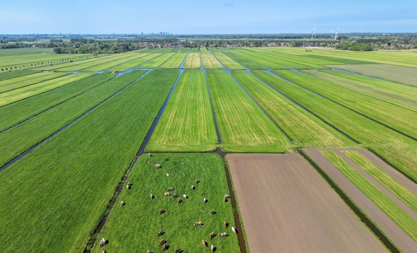 Extensive Farming In Europe What Is The Outlook For The Farm Machinery