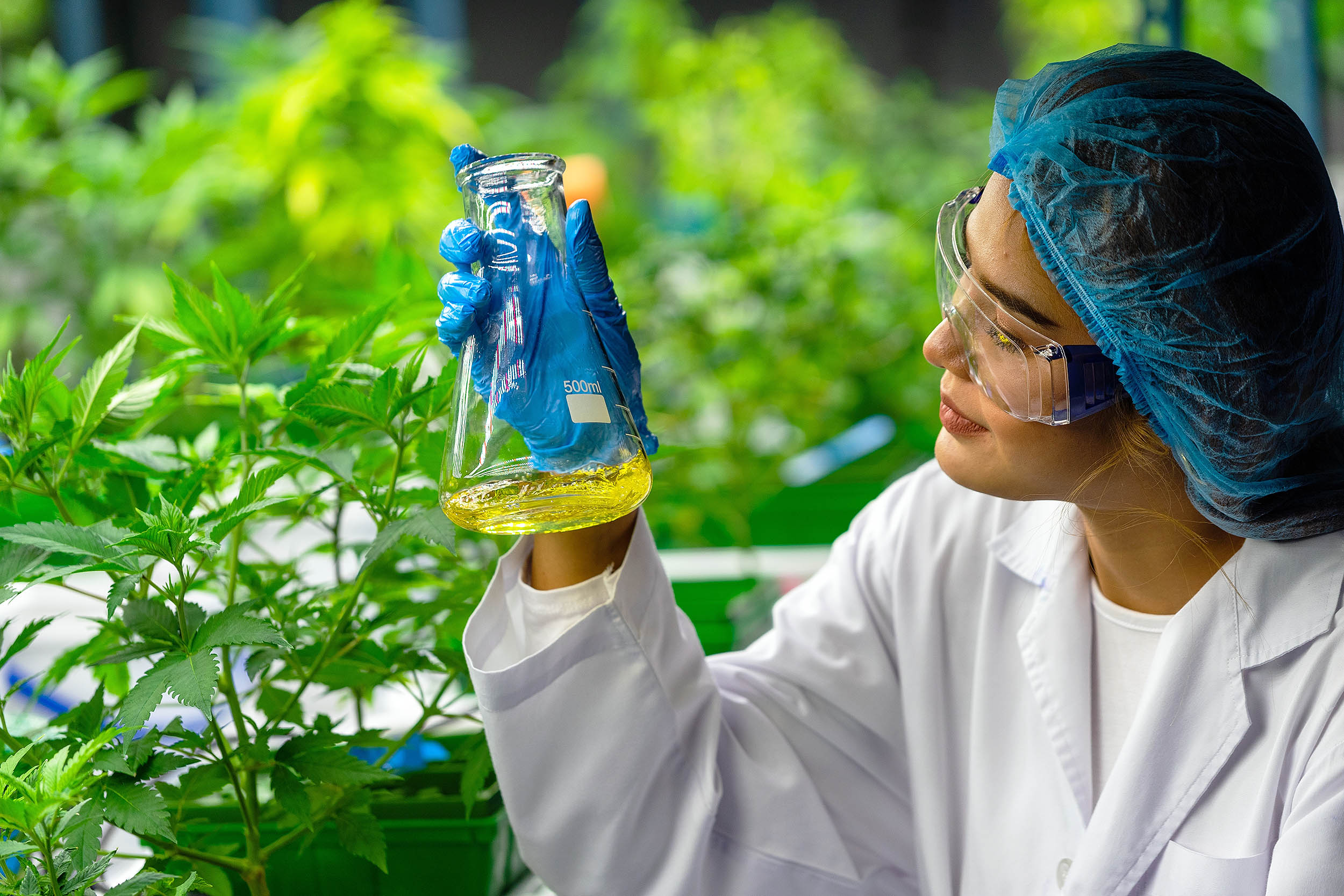 Scientists revive prehistoric cannabis enzymes and uncover more medical uses