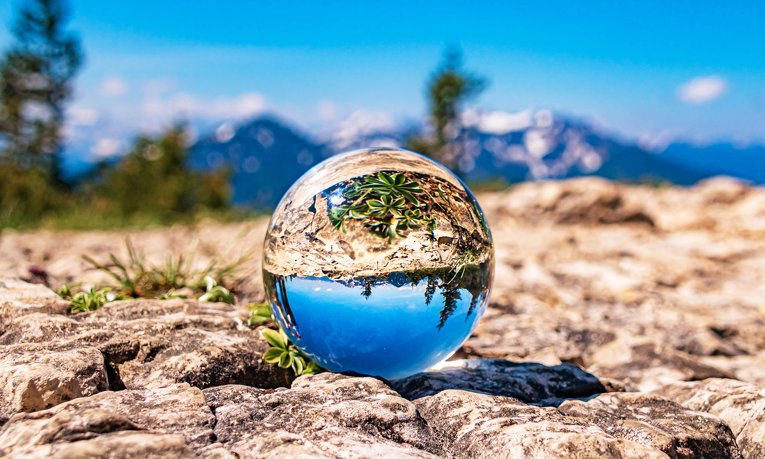 Earth's oceans have prevented a severe global 'mega-drought' for over 100 years